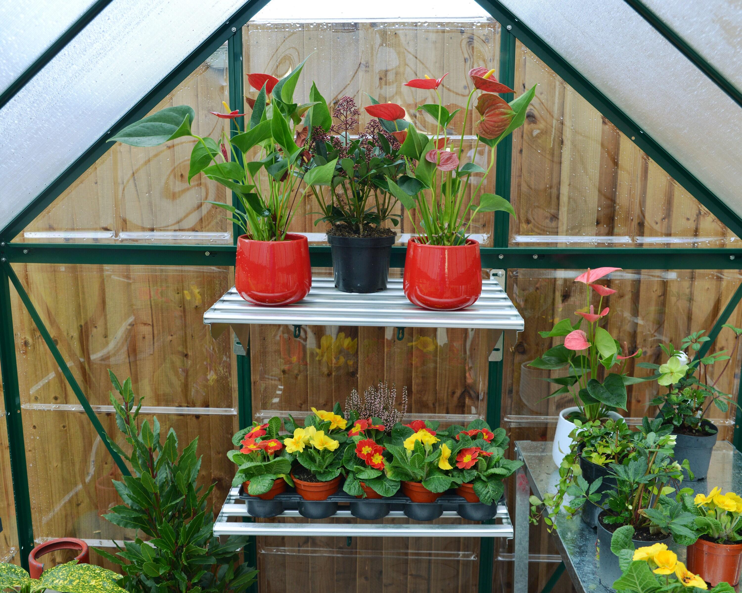 Canopia Palram - Canopia Hybrid 6' W x 4' D Walk-In Hobby Polycarbonate Aluminum Frame Greenhouse Kit with Roof Vent - Green