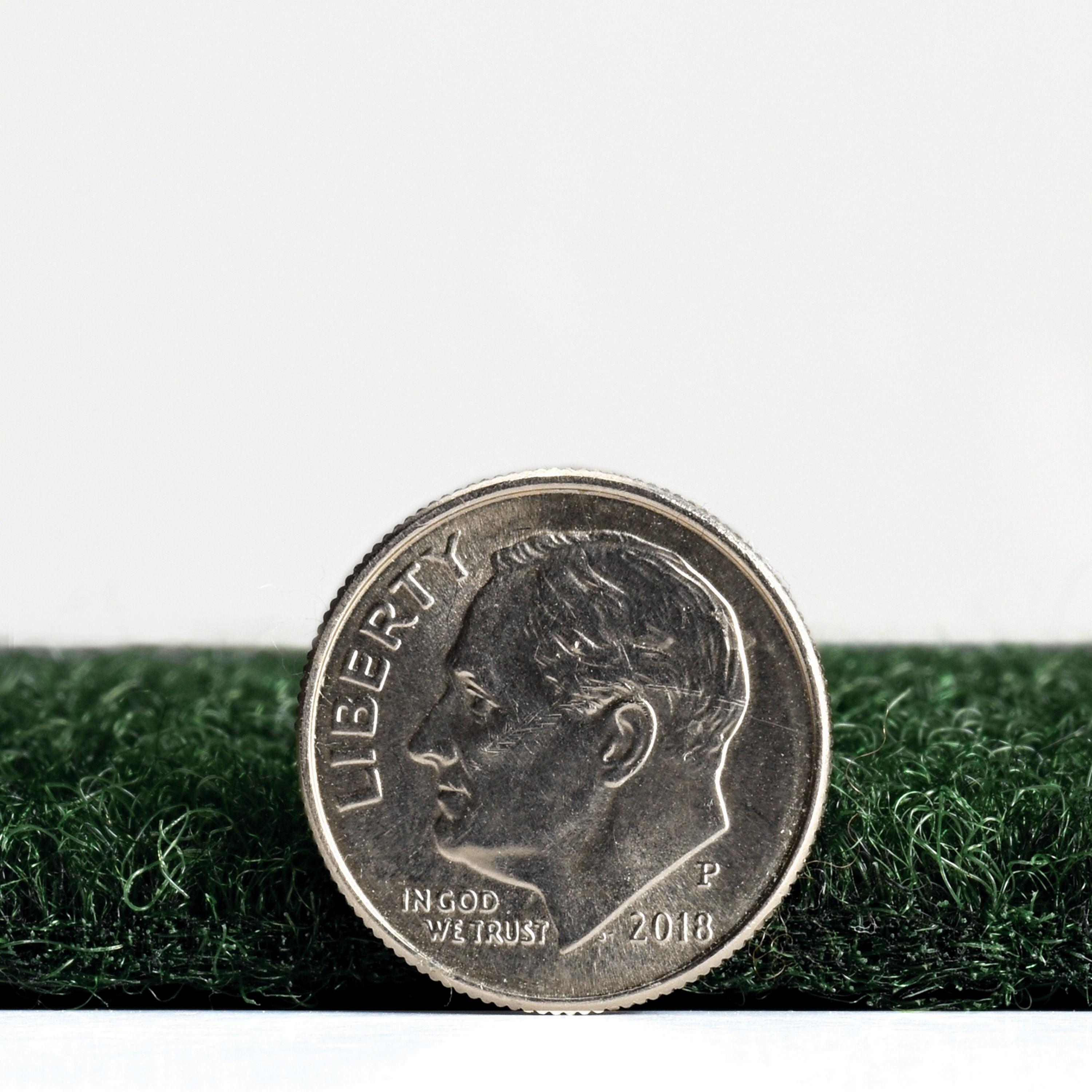 24" 15pk Self Stick Carpet Tile Fern Green - Foss Floors: Indoor/Outdoor, Pet-Friendly, Quick Dry, Molded Polyester