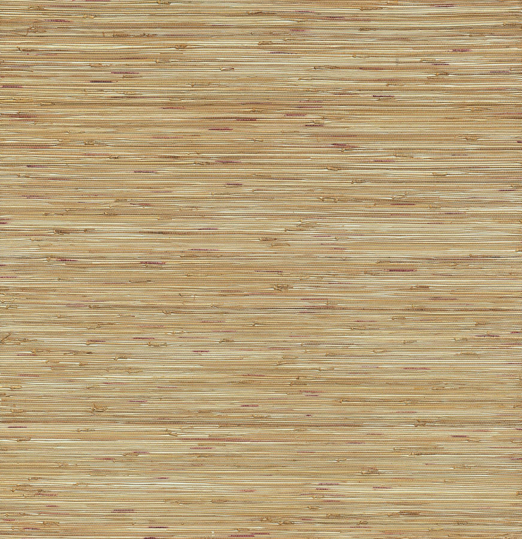 Neutral Brown Grasscloth Textured Wallpaper Roll