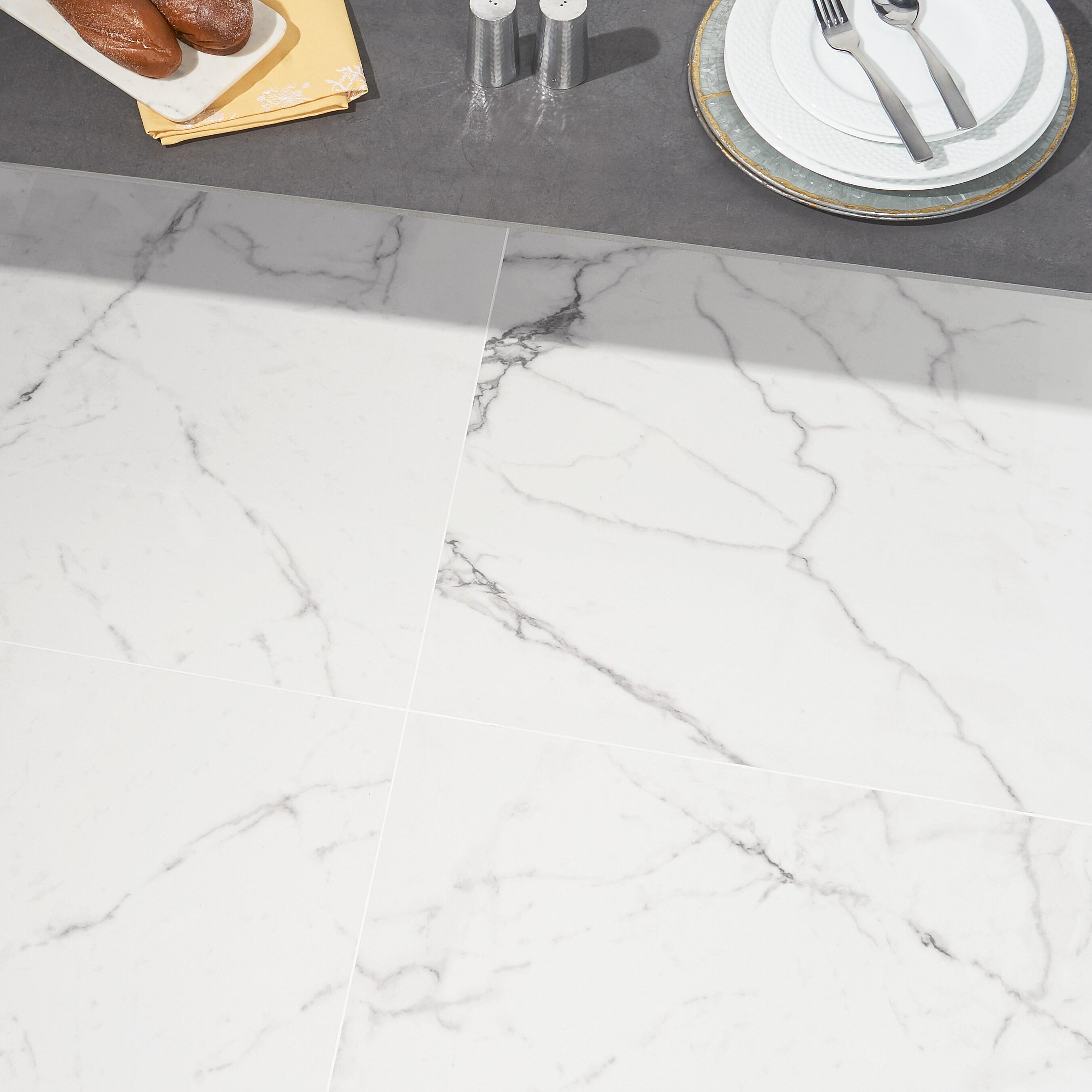 24" x 24" Polished Marble Look Porcelain Floor and Wall Tile (15.5 Sq. Ft. / Case)