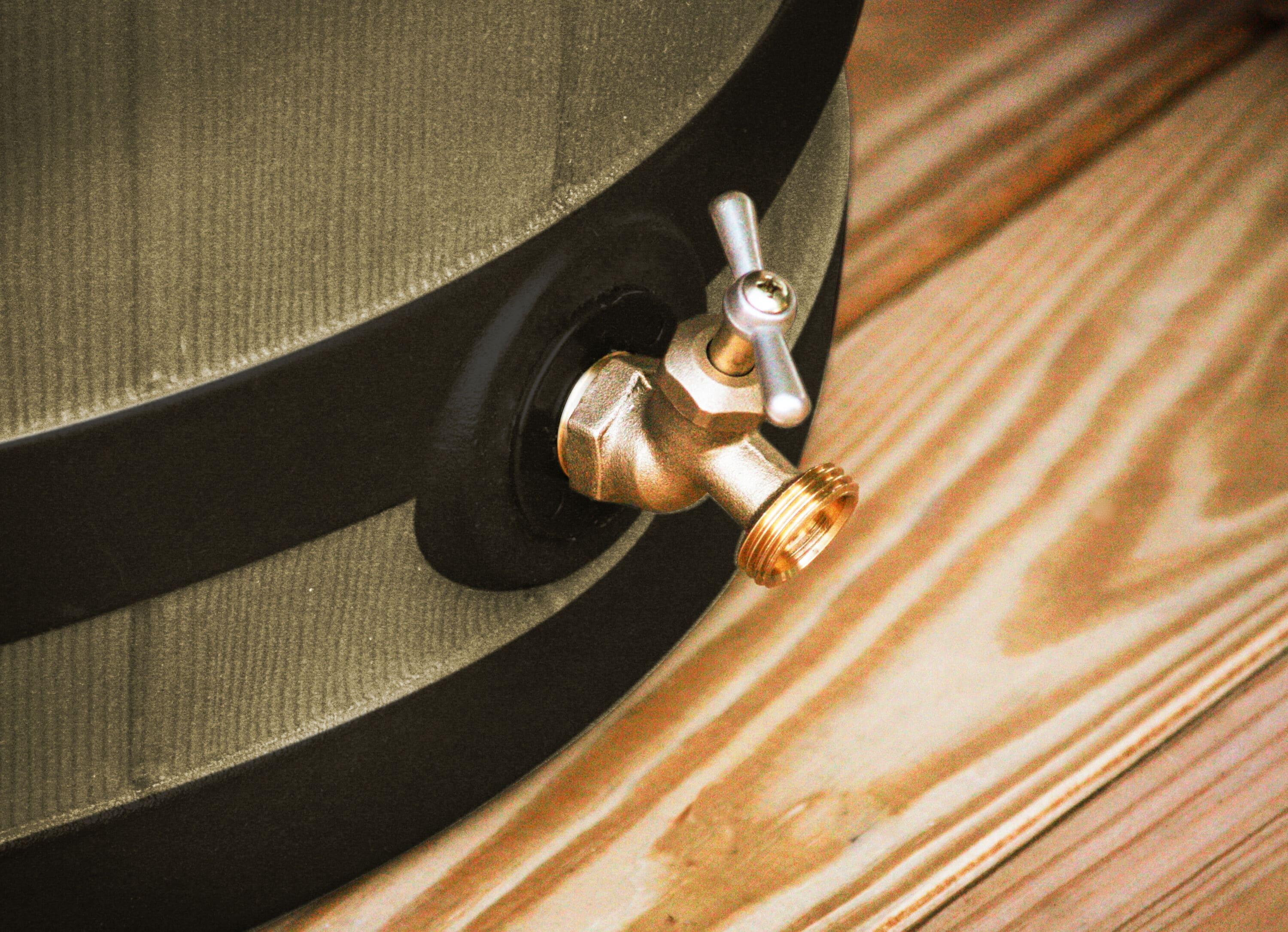 Good Ideas Good Ideas Rain Wizard Whiskey Style Rain Barrel with Overflow and Spigot