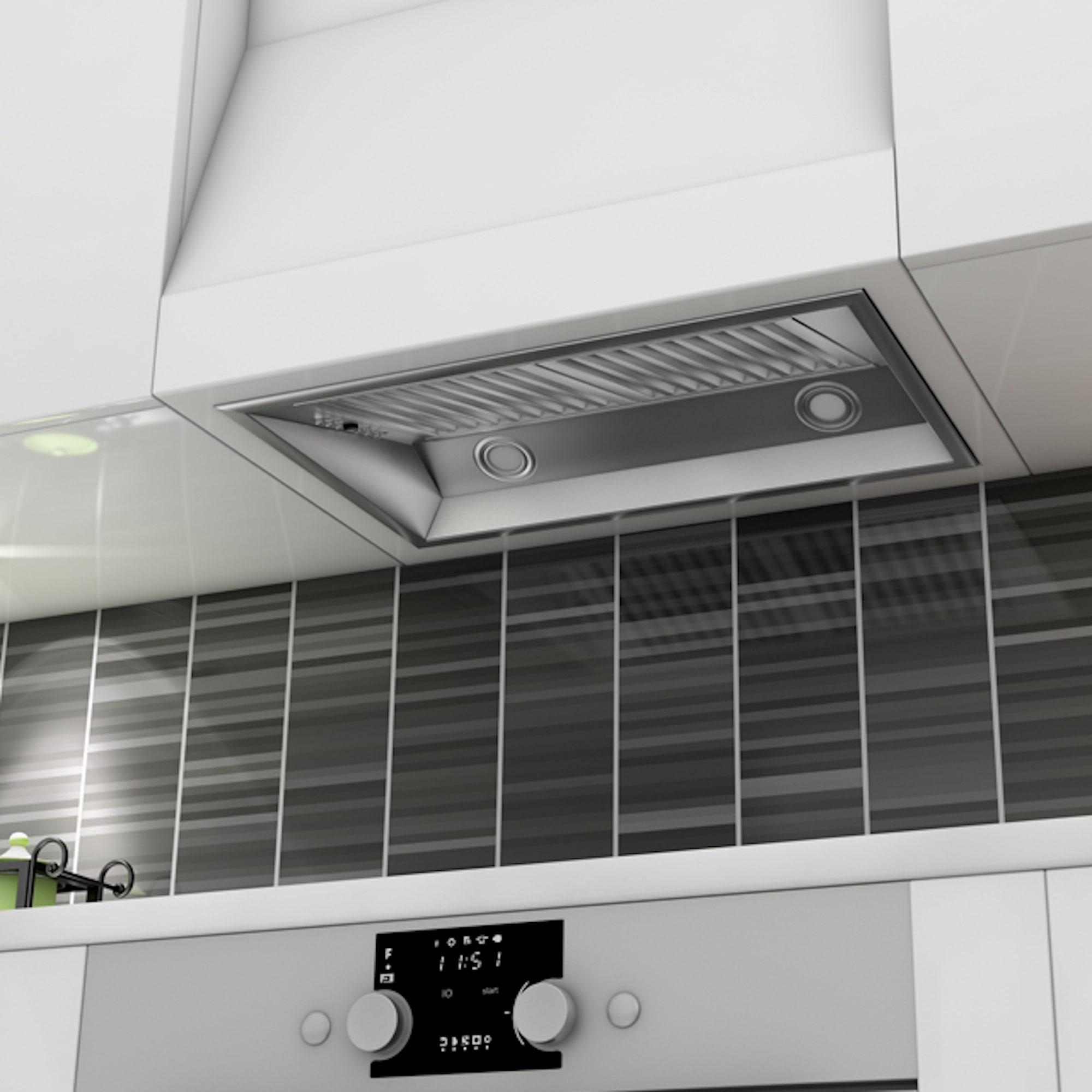 ZLINE 28 in. Range Hood Insert in Stainless Steel (695-28)