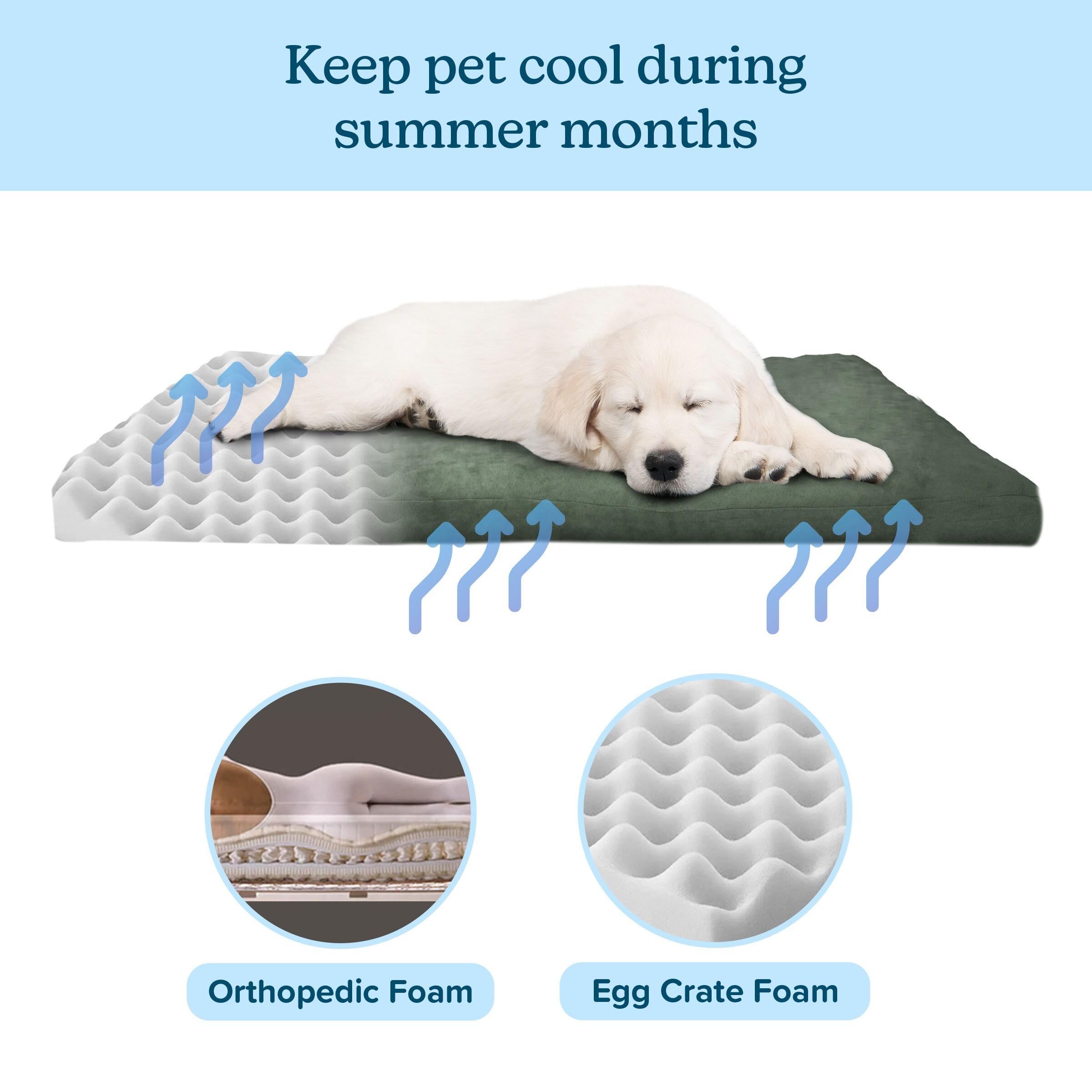 Pet Adobe 3" Orthopedic Foam Pet Bed – Forest Green