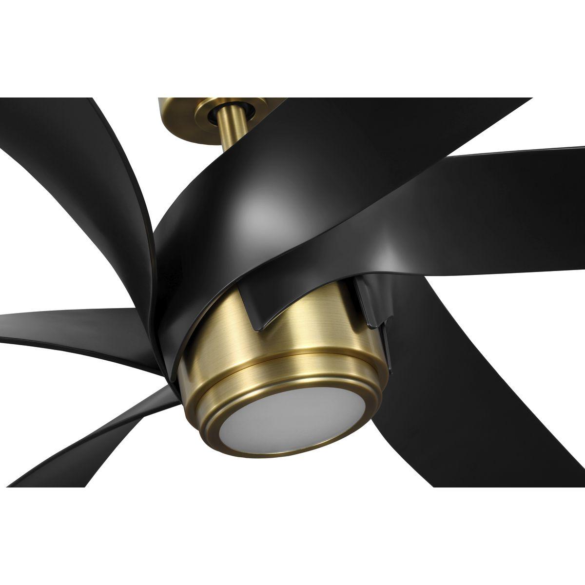 Burniece 72'' Ceiling Fan with LED Lights