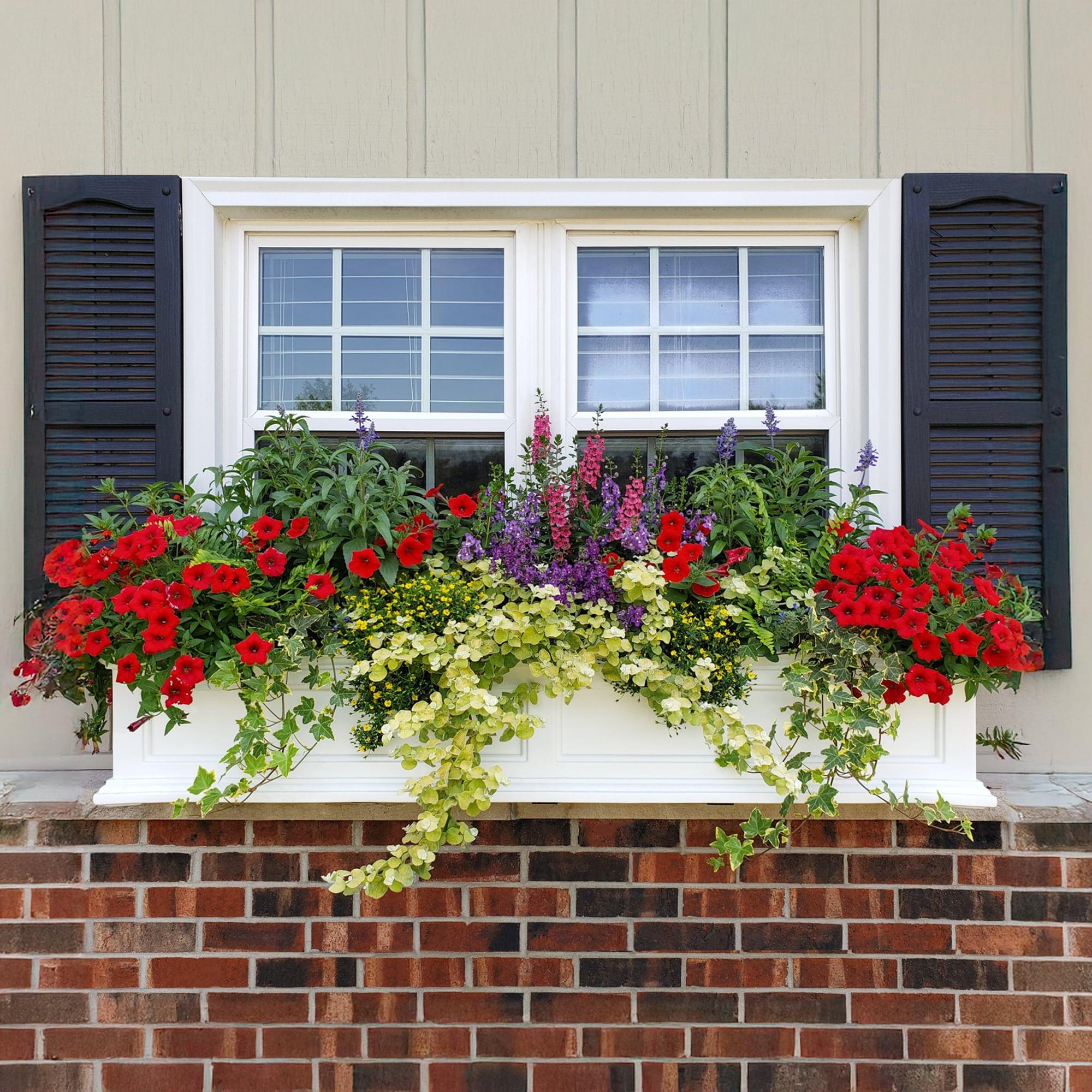 Mayne Inc. Anastasiya Resin Window Box Planter with Water Reservoir