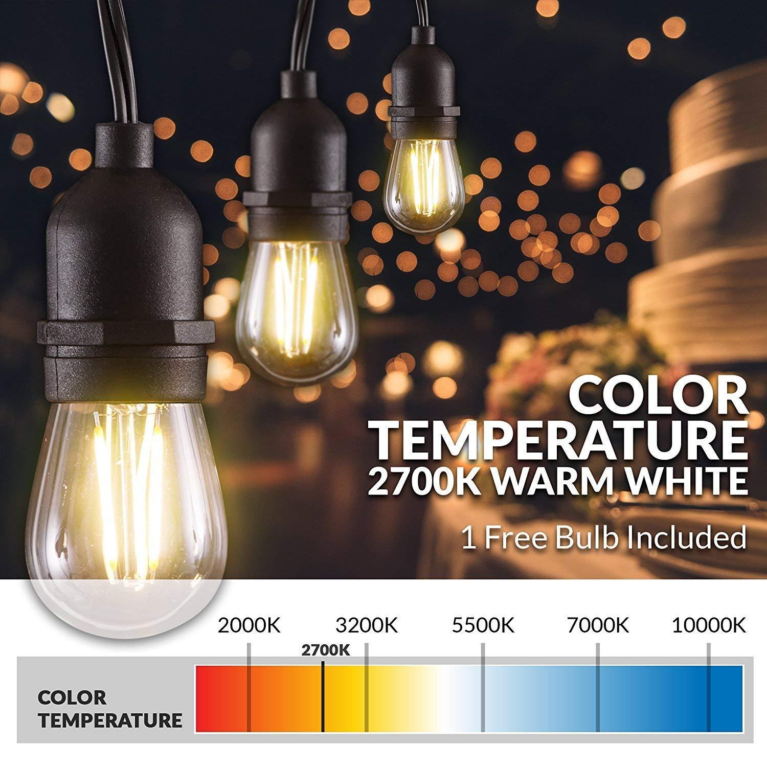 Newhouse Lighting LED String Lights with Weatherproof Technology, Dimmable with Wireless Remote Control, 48ft and 16 (15+1 free) LED Light Bulbs Included, Black (CSTRINGLEDDIM)