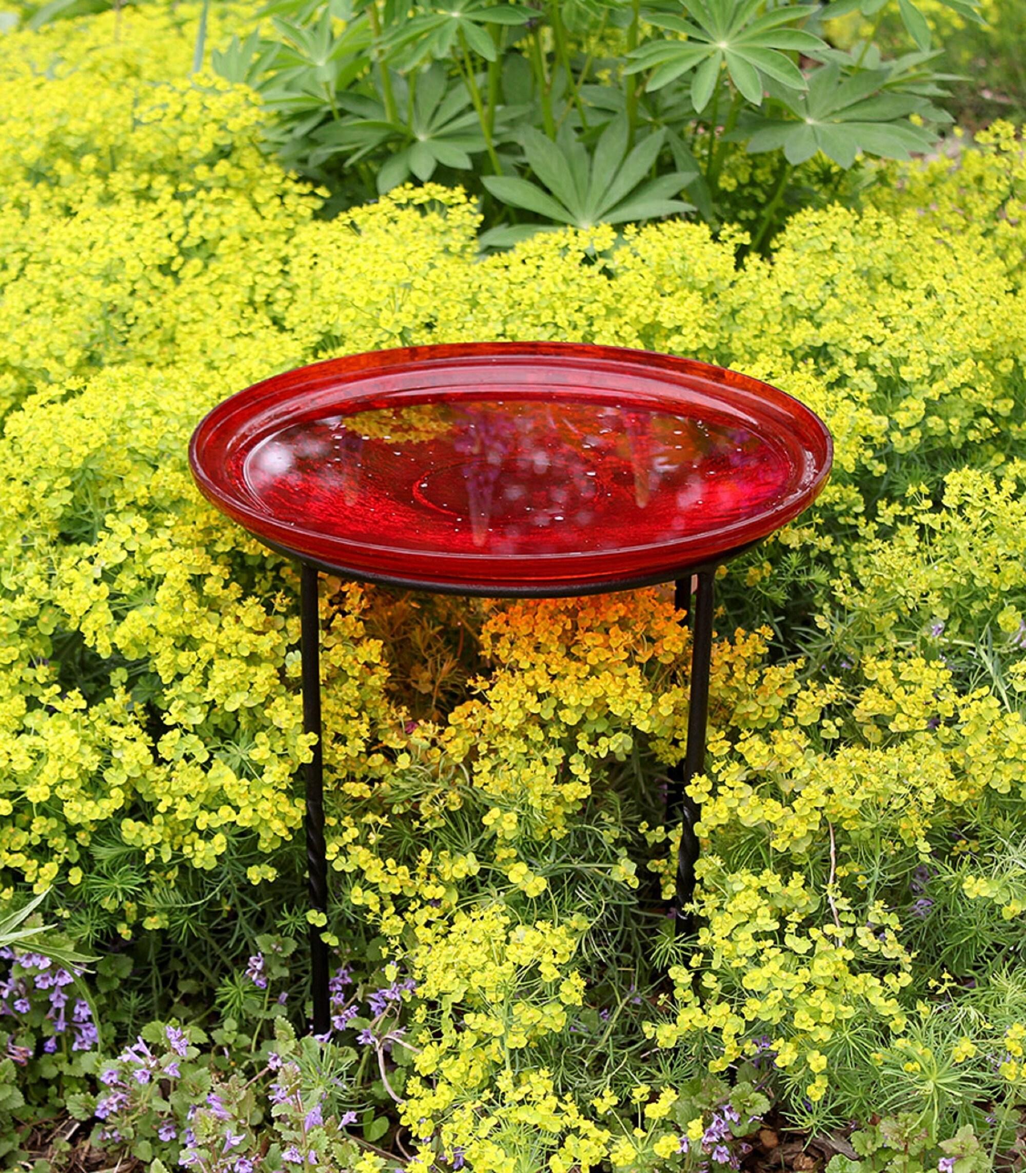 Winston Porter Drumnasole Iron Pedestal Birdbath