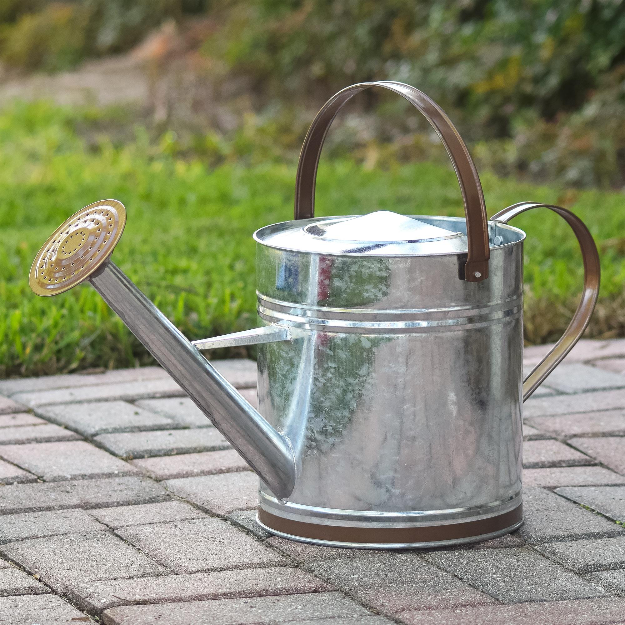 Classic 1.3 Gallon Galvanized Metal Watering Can with Brown Handles