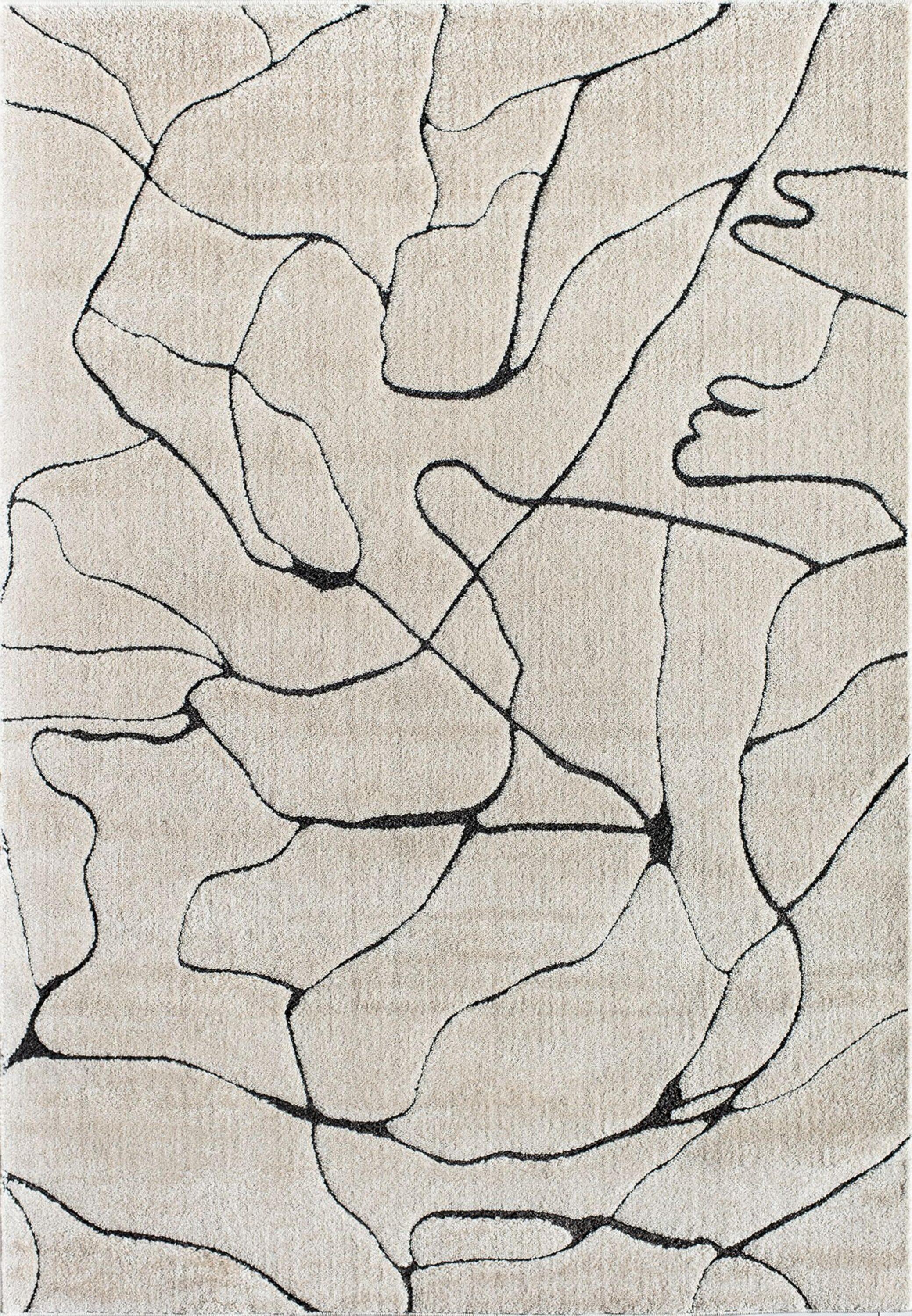 Cadence Contemporary Marble Area Rug