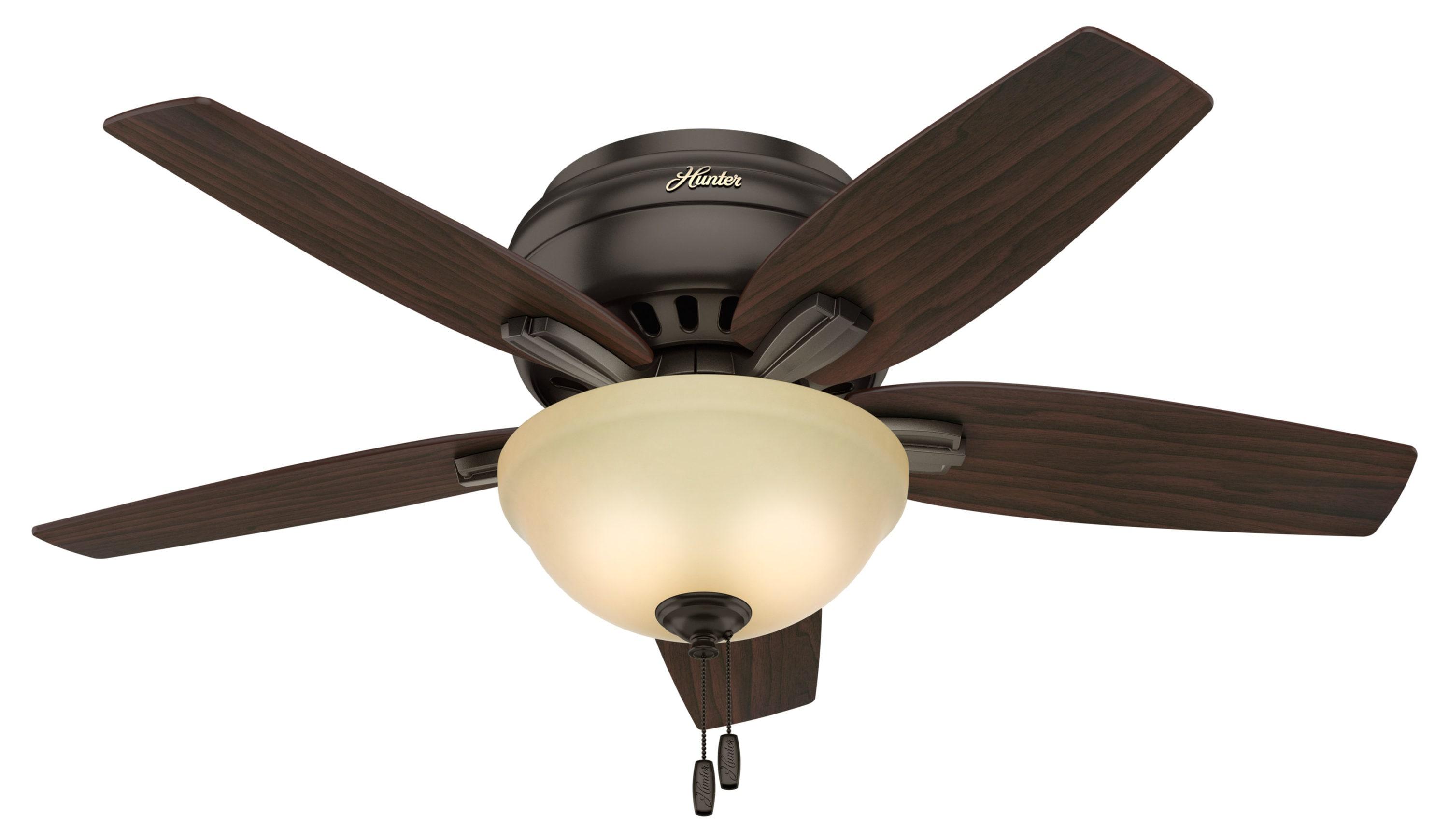Hunter Fan Newsome 42" 5 - Blade Traditional Flush Mount Indoor Ceiling Fan with Lights and Pull Chains