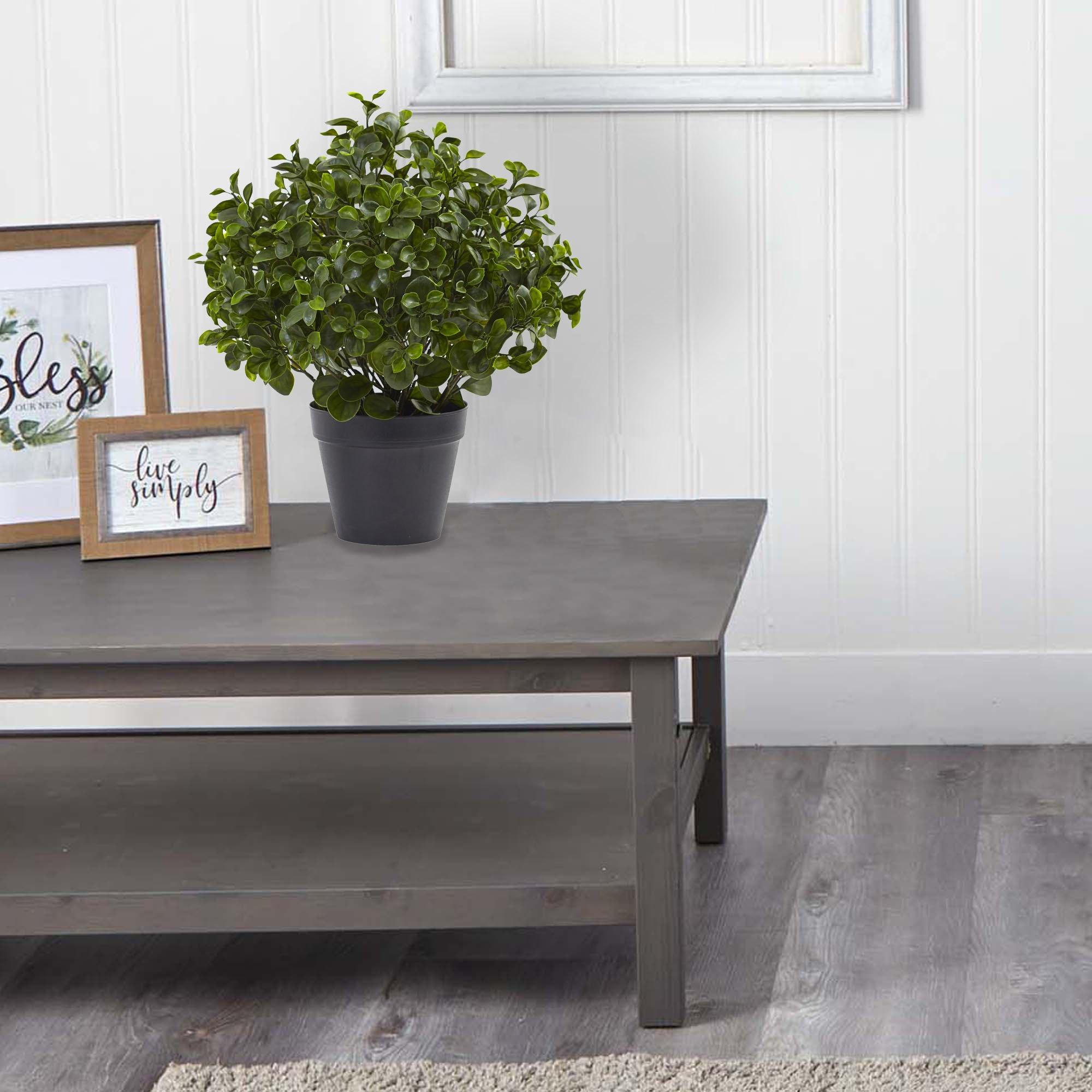 Nearly Natural 23 in. Peperomia Plant UV Resistant (Indoor/Outdoor)