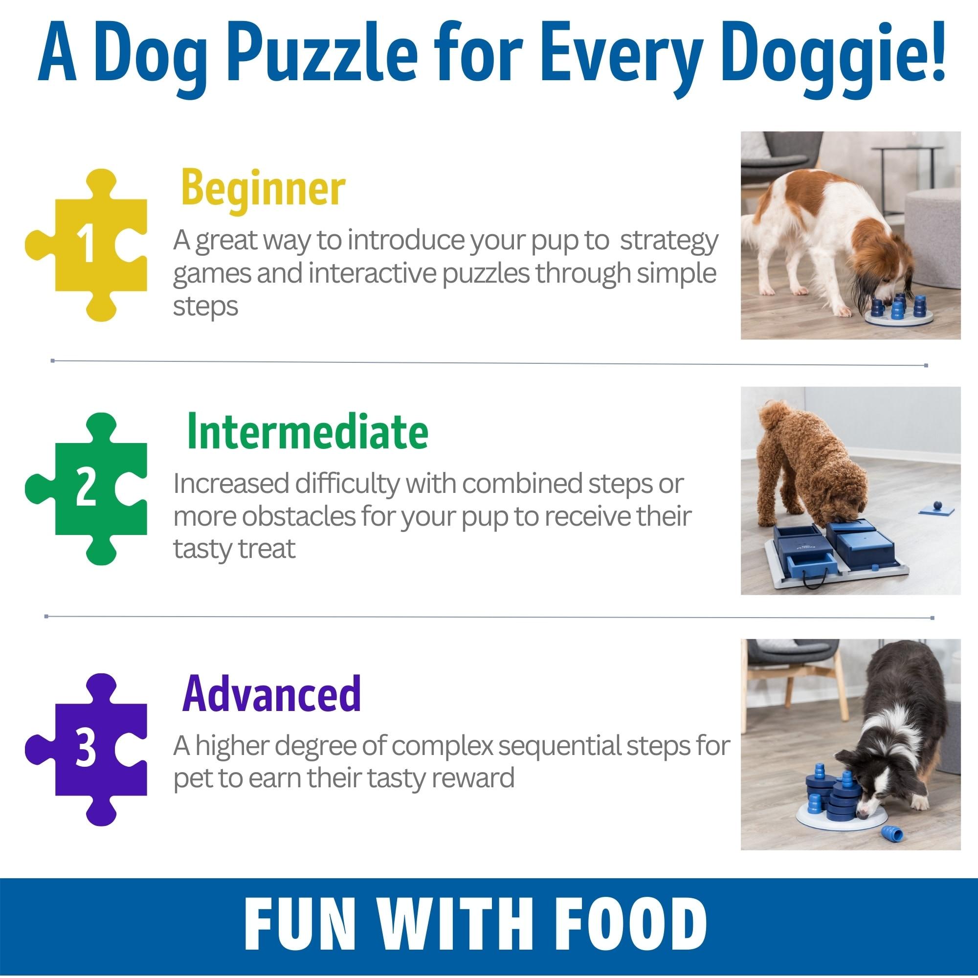 TRIXIE Dog Activity Flower Strategy Game, Level 3, Advanced Dog Puzzle Toy, Treat Dispenser