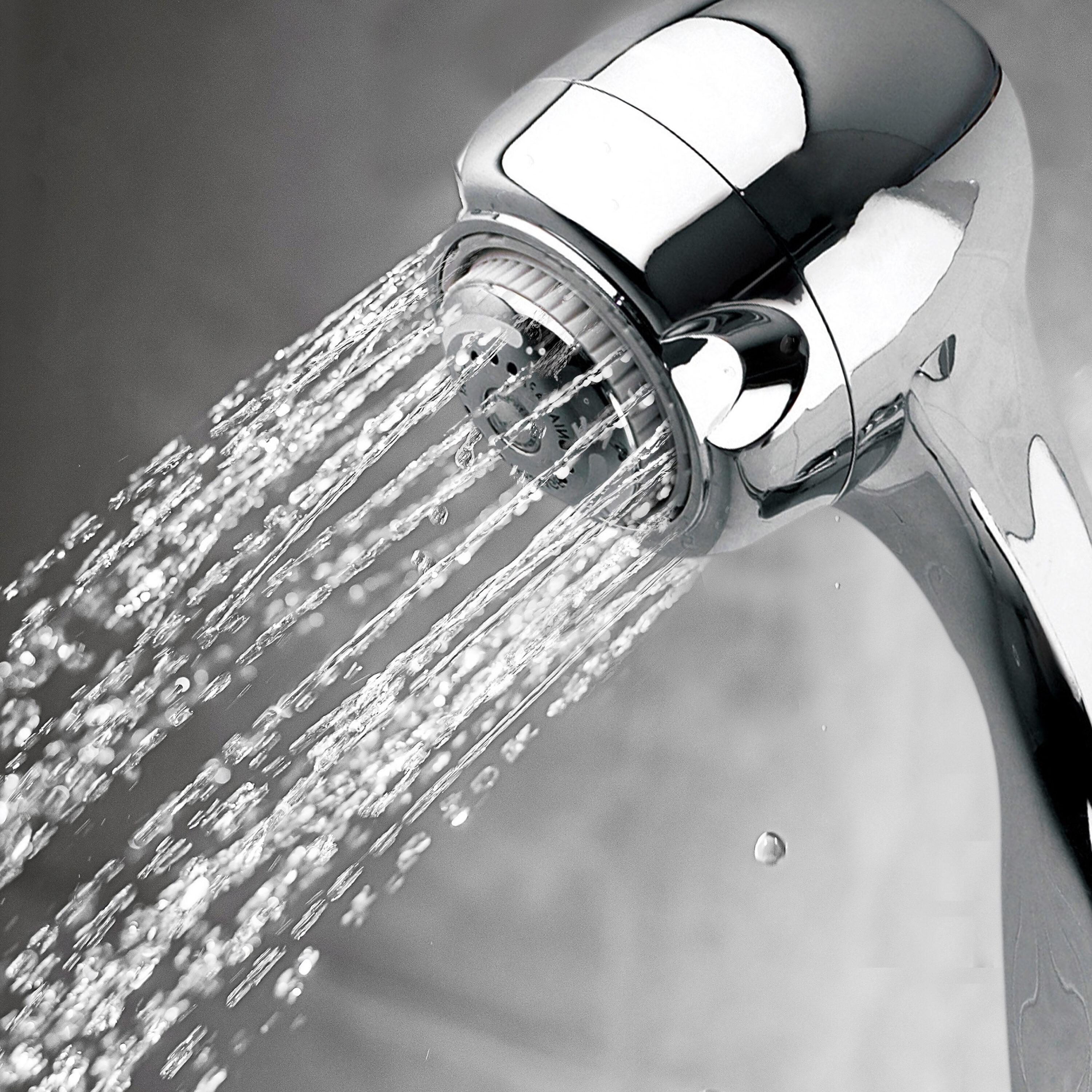 Earth Massage Massage/Jet Handheld Shower Head 1.5 GPM GPM