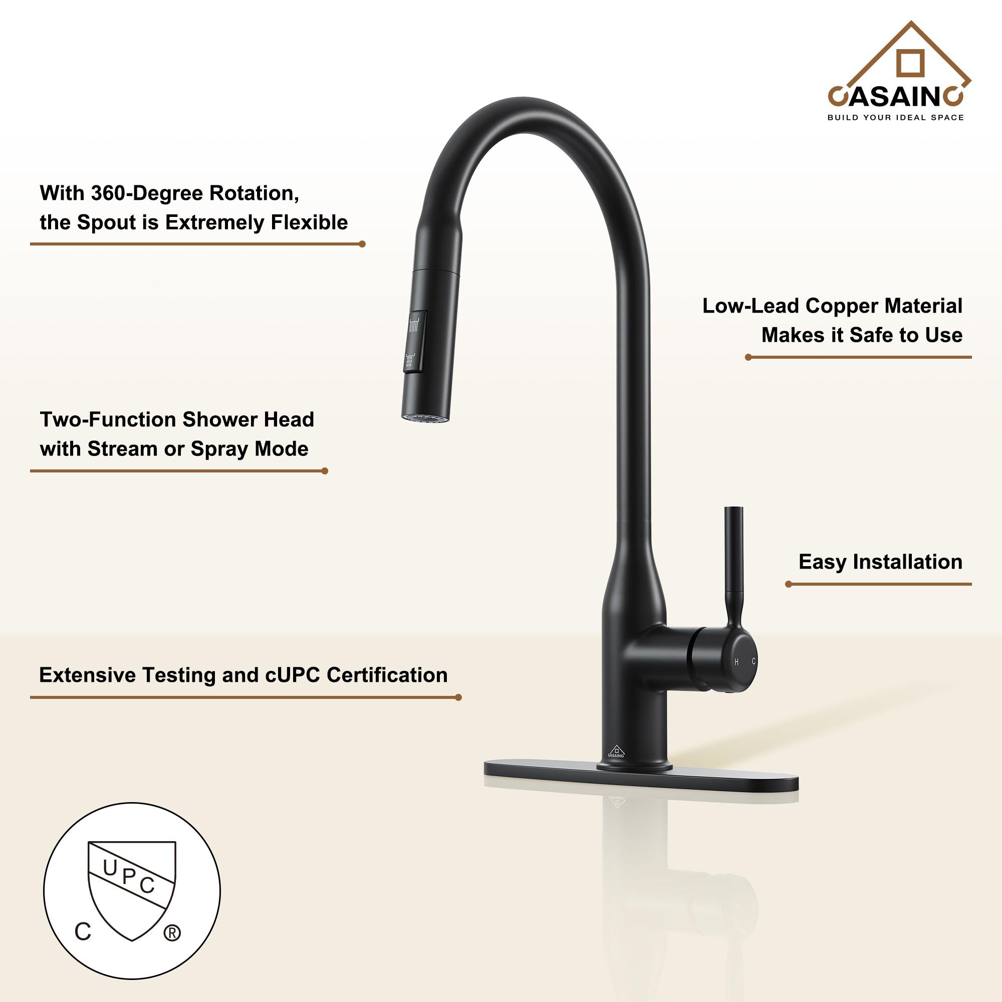 CASAINC Single-Handle Pull-Down Kitchen Faucet Single Hole Faucet