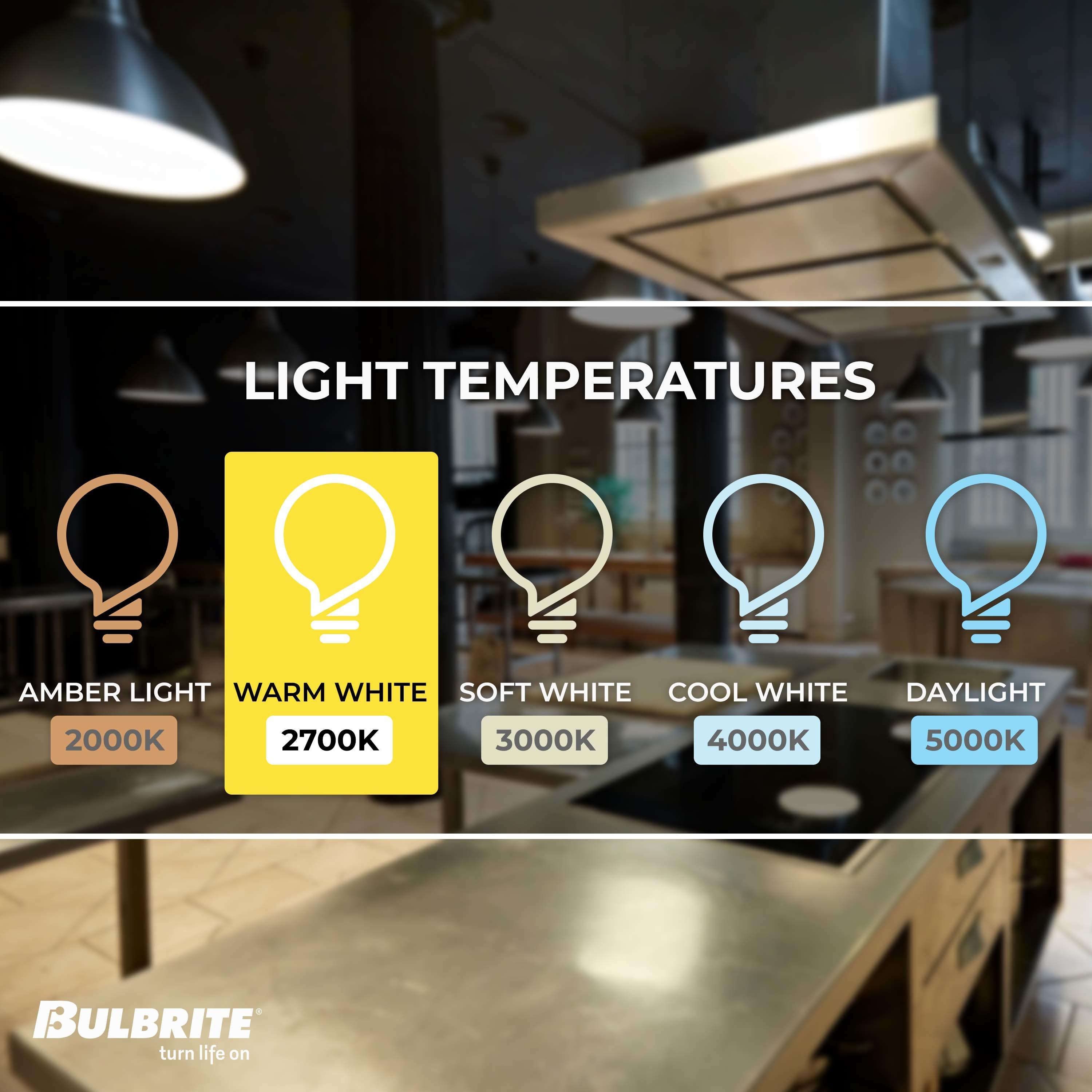 120 Watt Equivalent PAR38 E26/Medium (Standard) Dimmable LED Bulb
