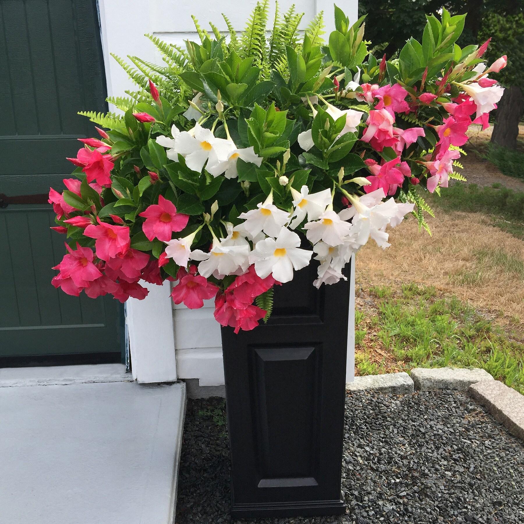 Mayne Inc. Nantucket Pot Planter