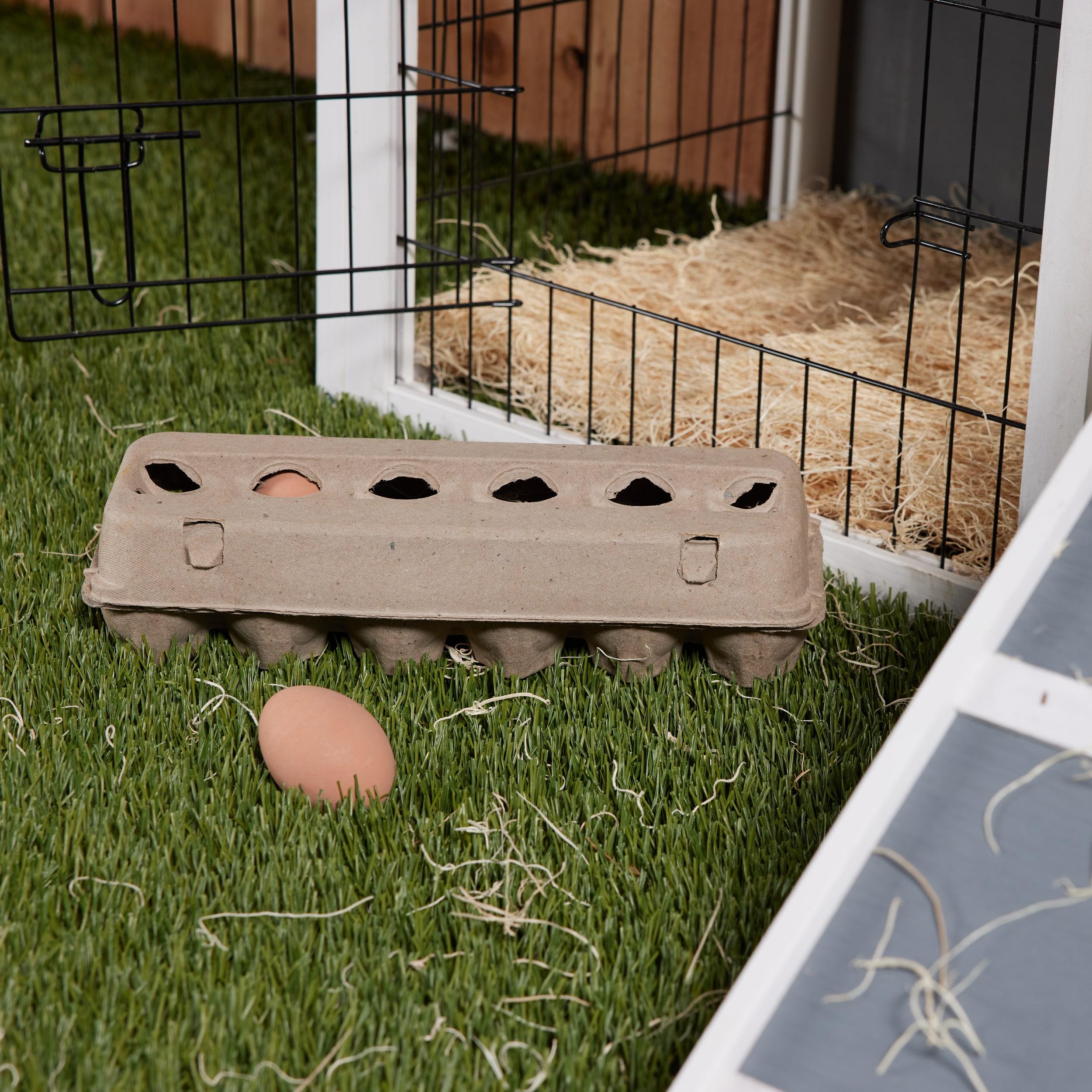 Pecking Order Cardboard Egg Carton 12-pack Dozen Cardboard Egg carton