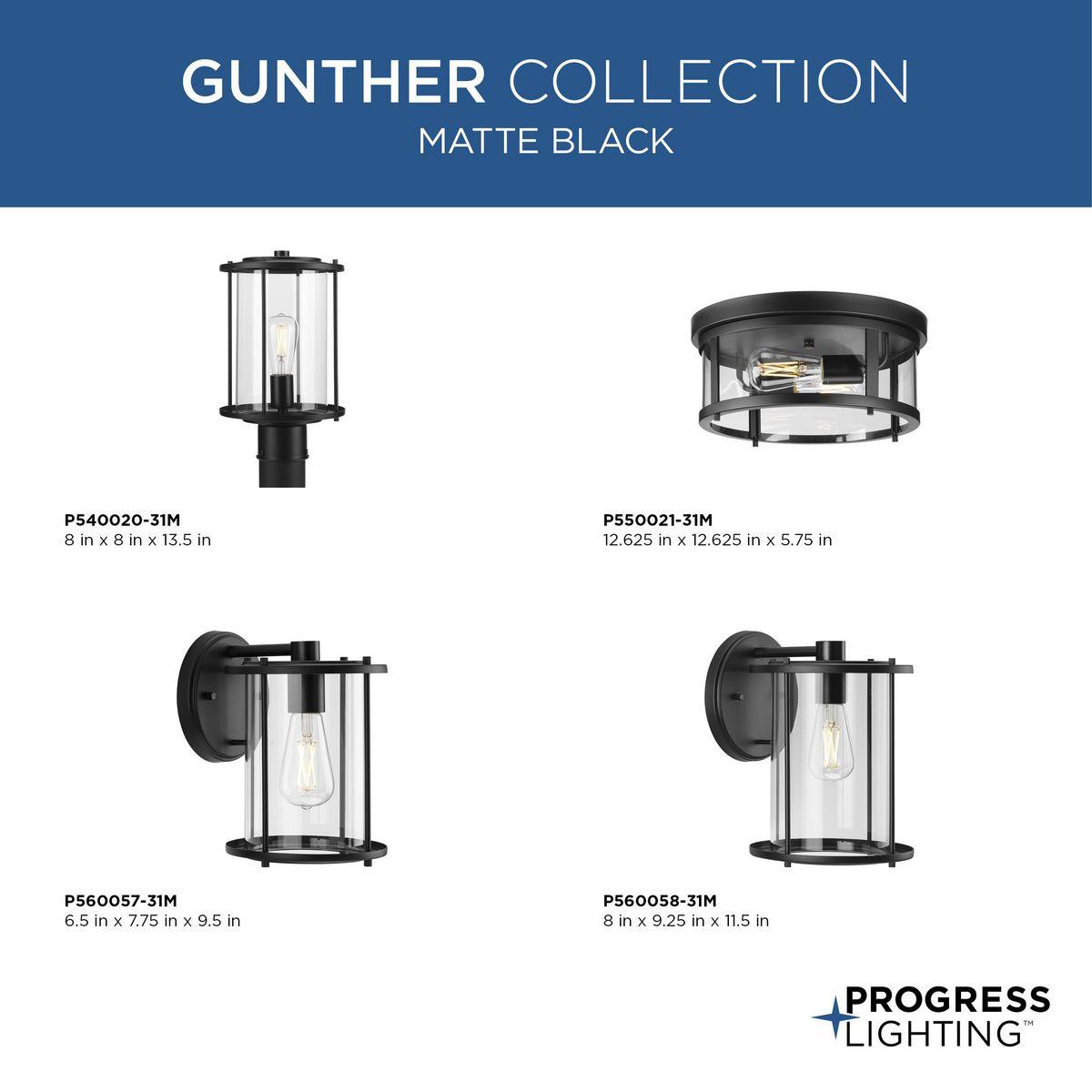 Progress Lighting Gunther Matte Black 2 - Bulb Outdoor Flush Mount Light