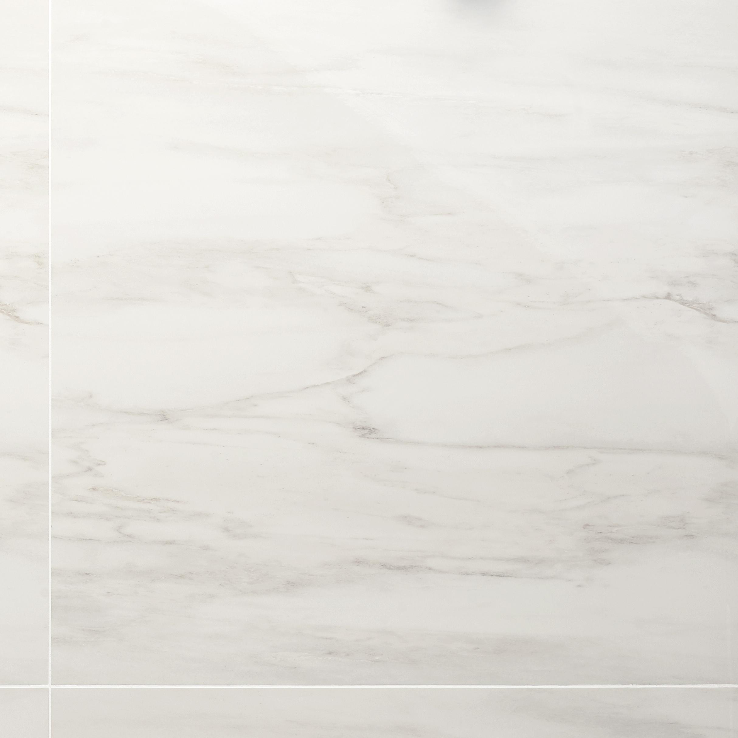24" x 24" Polished Marble Look Porcelain Floor and Wall Tile (15.5 Sq. Ft. / Case)