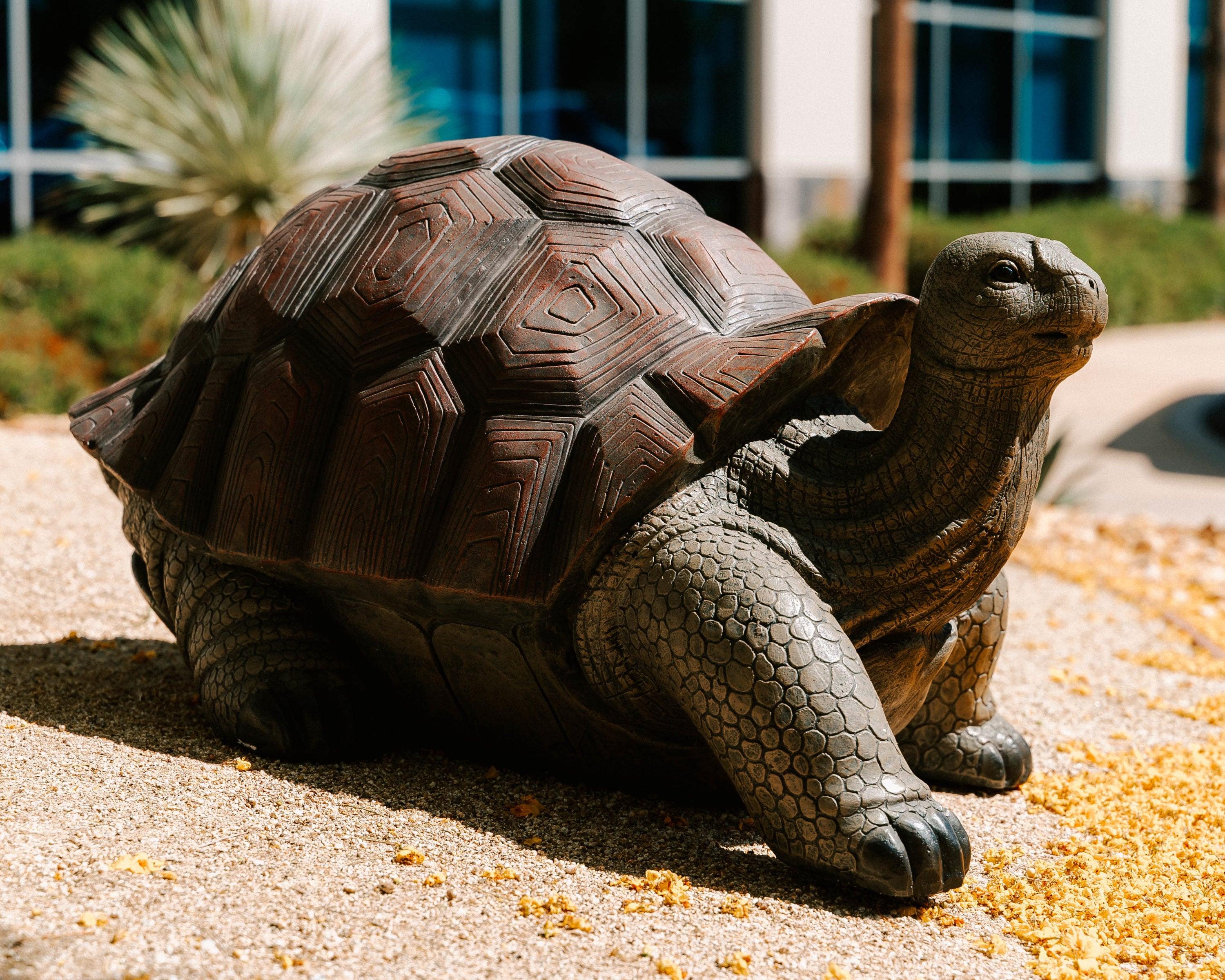 XBrand 28"L Brown and Black Concrete/MgO Walking Tortoise Statue, Indoor or Outdoor Décor, Garden Sculptures, Turtle Garden Statue