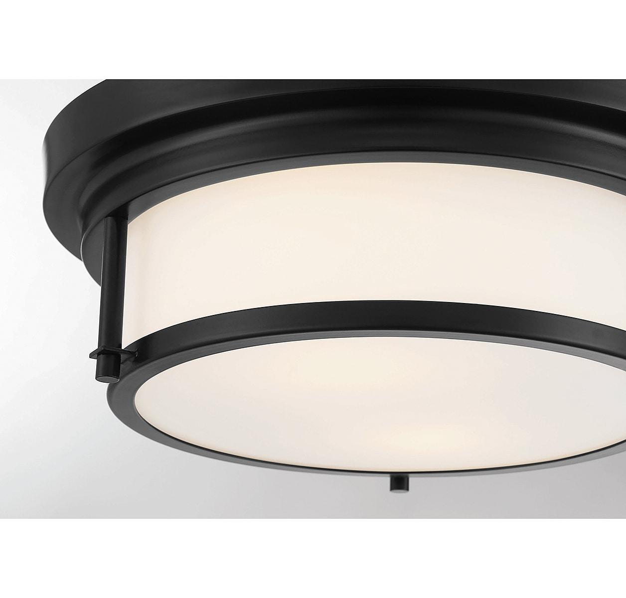 Trade Winds Lighting 2-Light Ceiling Light In Matte Black
