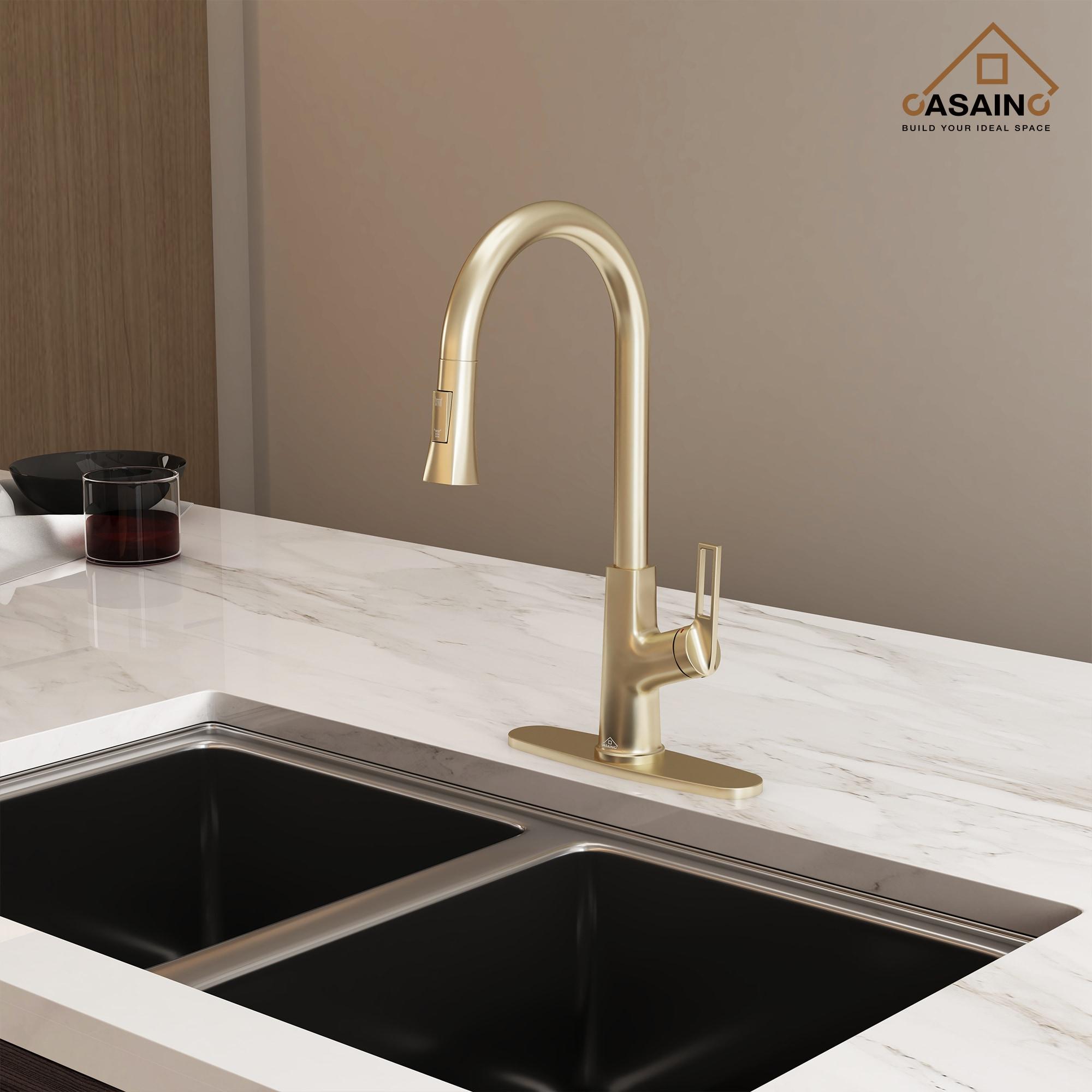 CASAINC CASAINC Single-Handle Pull-Down Kitchen Faucet Single Hole Faucet CA-D4171-BG