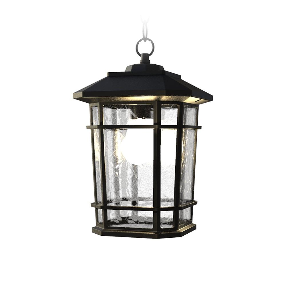 Williams 1- Light Black 14" H Glass Outdoor Hanging Lantern (Bulb Included)