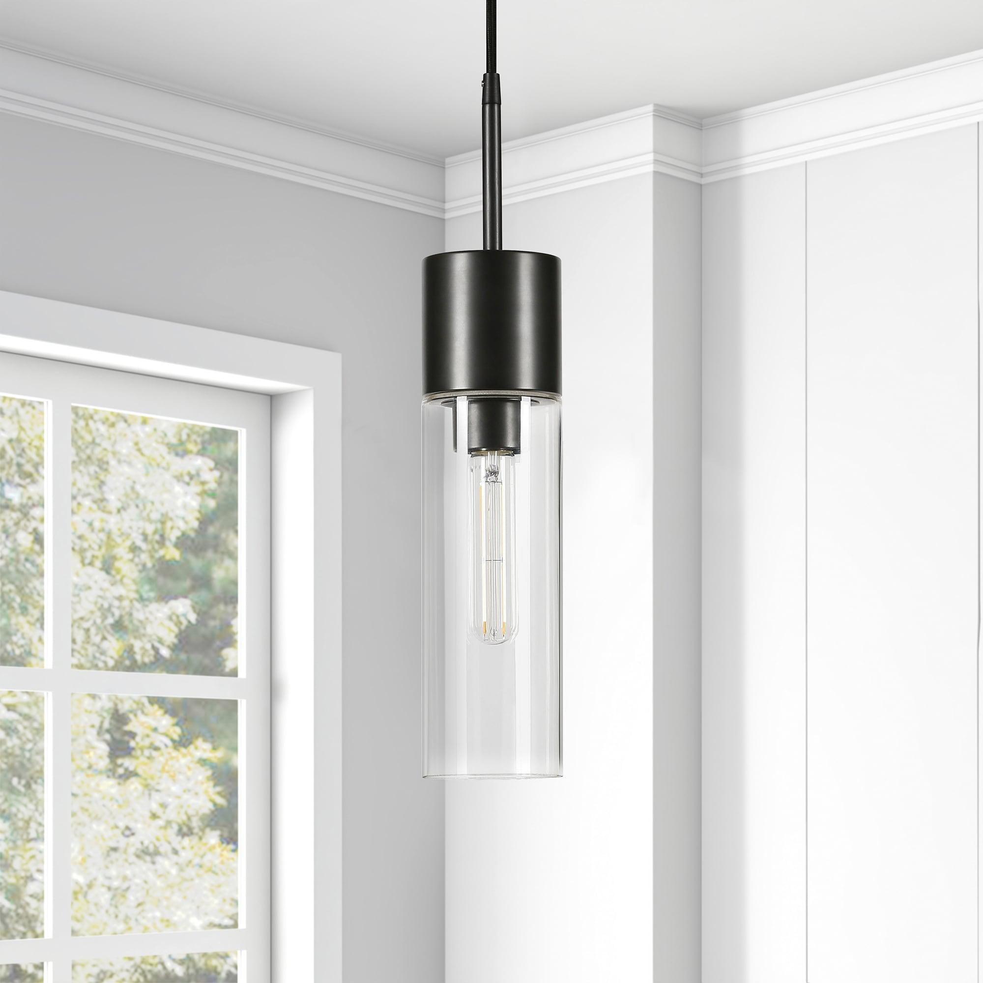 Evelyn&Zoe Industrial Clear Glass Pendant