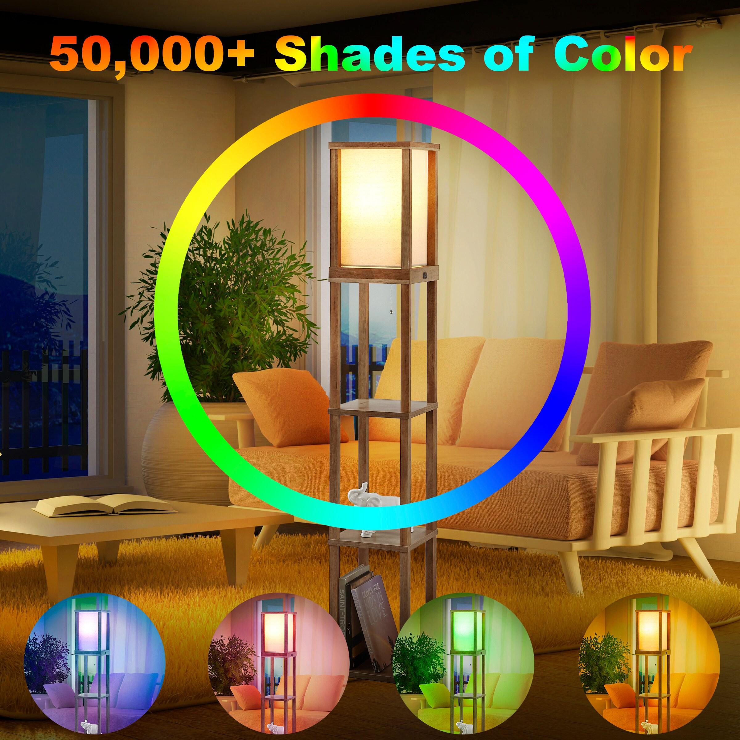 Etagere 63.5" Rustic Bohemian Wooden LED 3-Shelf Floor Lamp with Pull-Chain, USB Charging Port and Smart Bulb, Brown