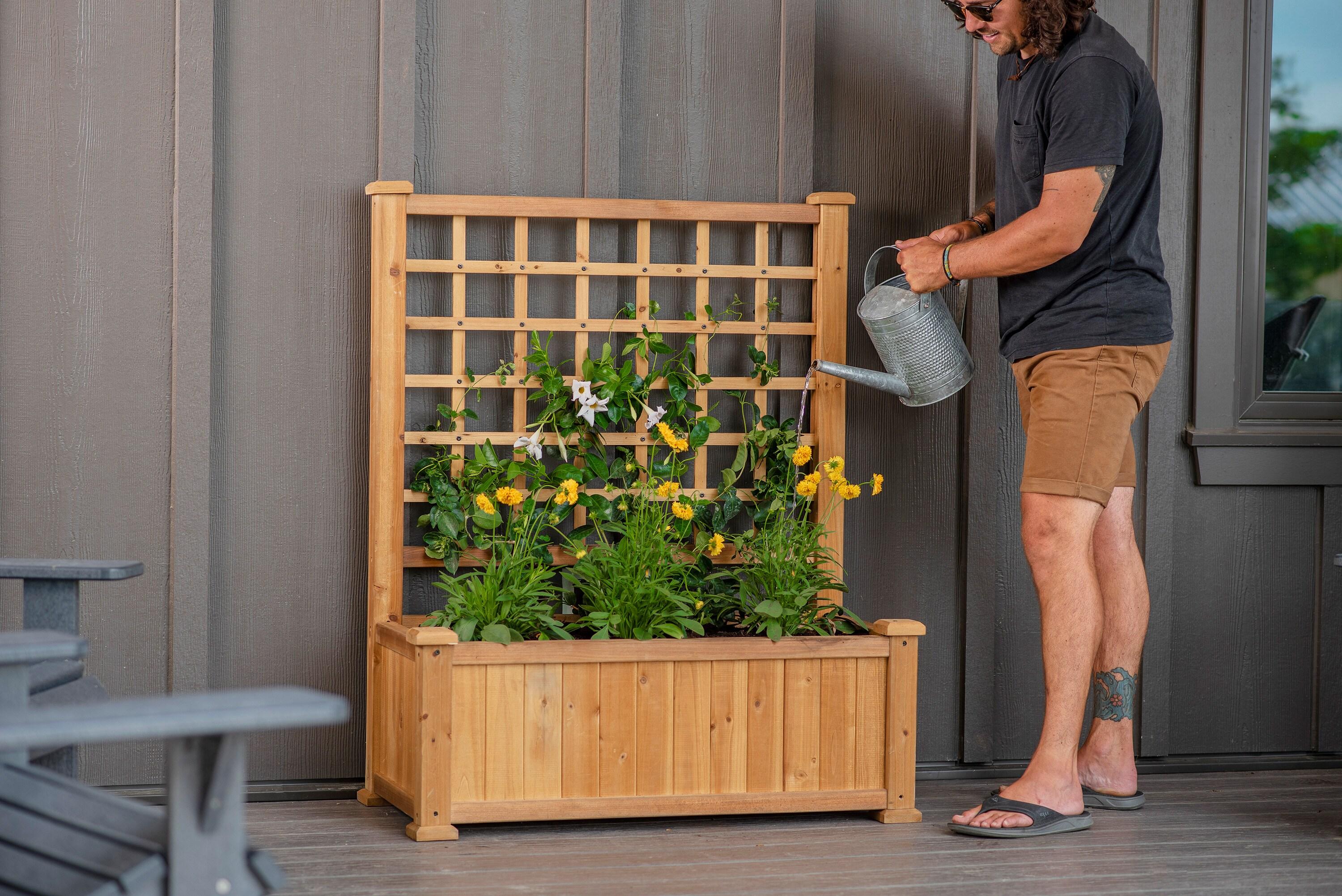 Rosewood 46.75'' H x 38.13'' Wood Planter with Trellis