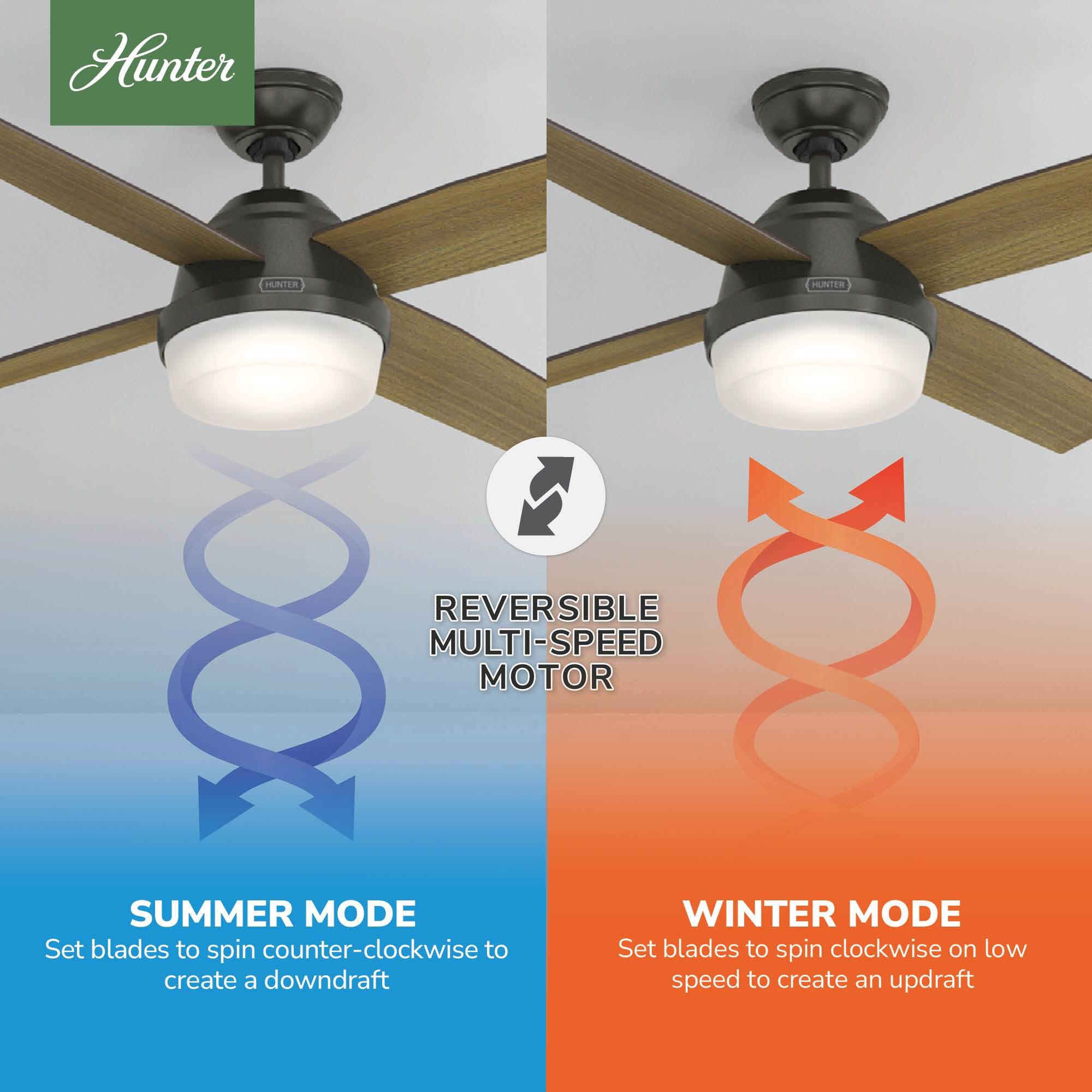 Dempsey 52" 4 - Blade Contemporary Indoor Ceiling Fan with Lights and Remote