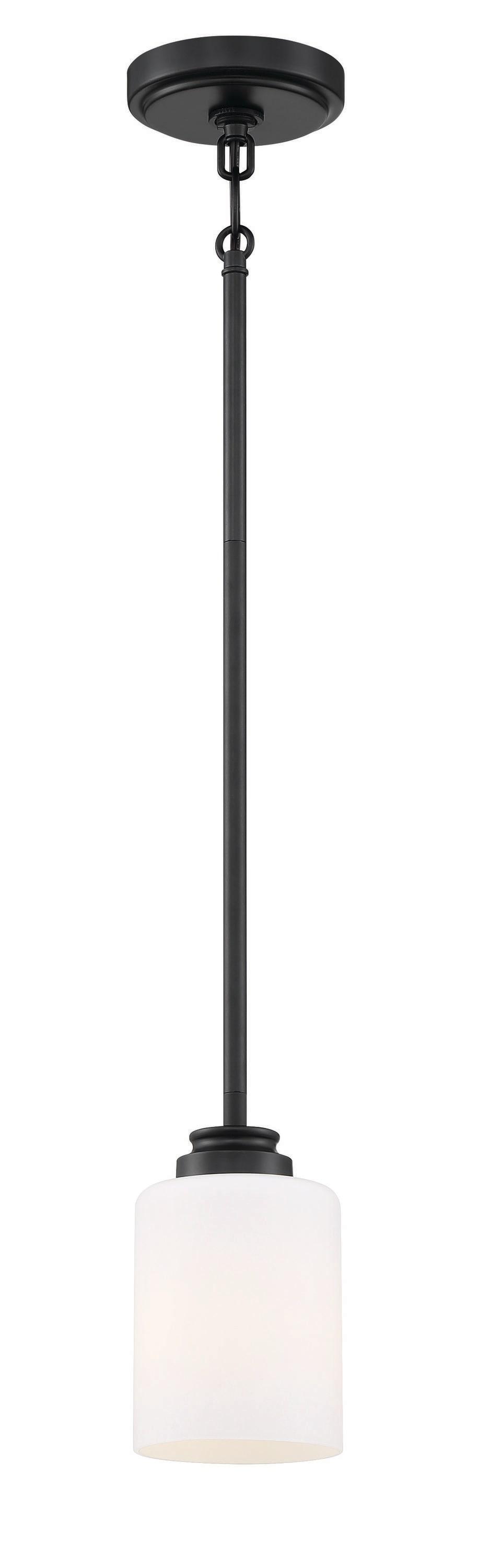1 - Light Single Pendant