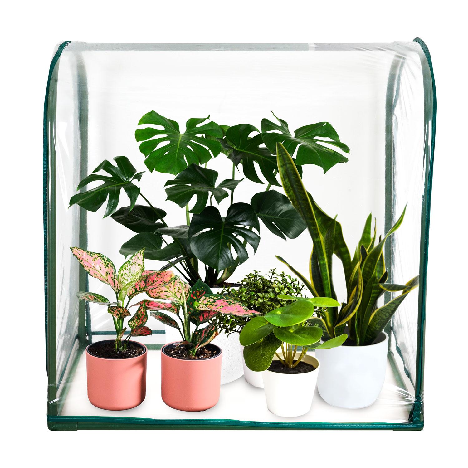Zone Lighting Grow Tent Tabletop