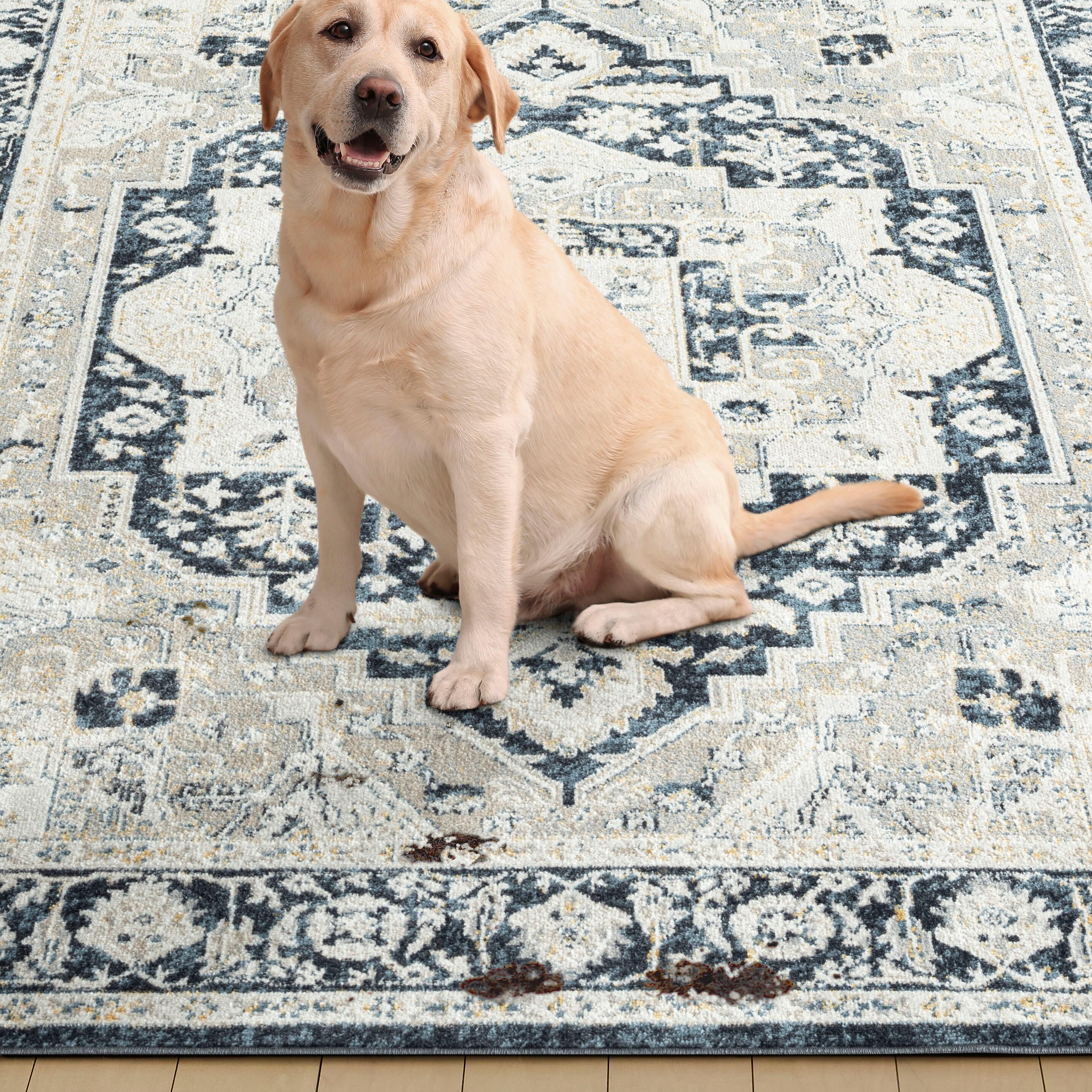 Everwash Treasure Rubia Traditional Medallion Machine Washable Area Rug, Ivory/Navy Blue, 5'2"x7'2"