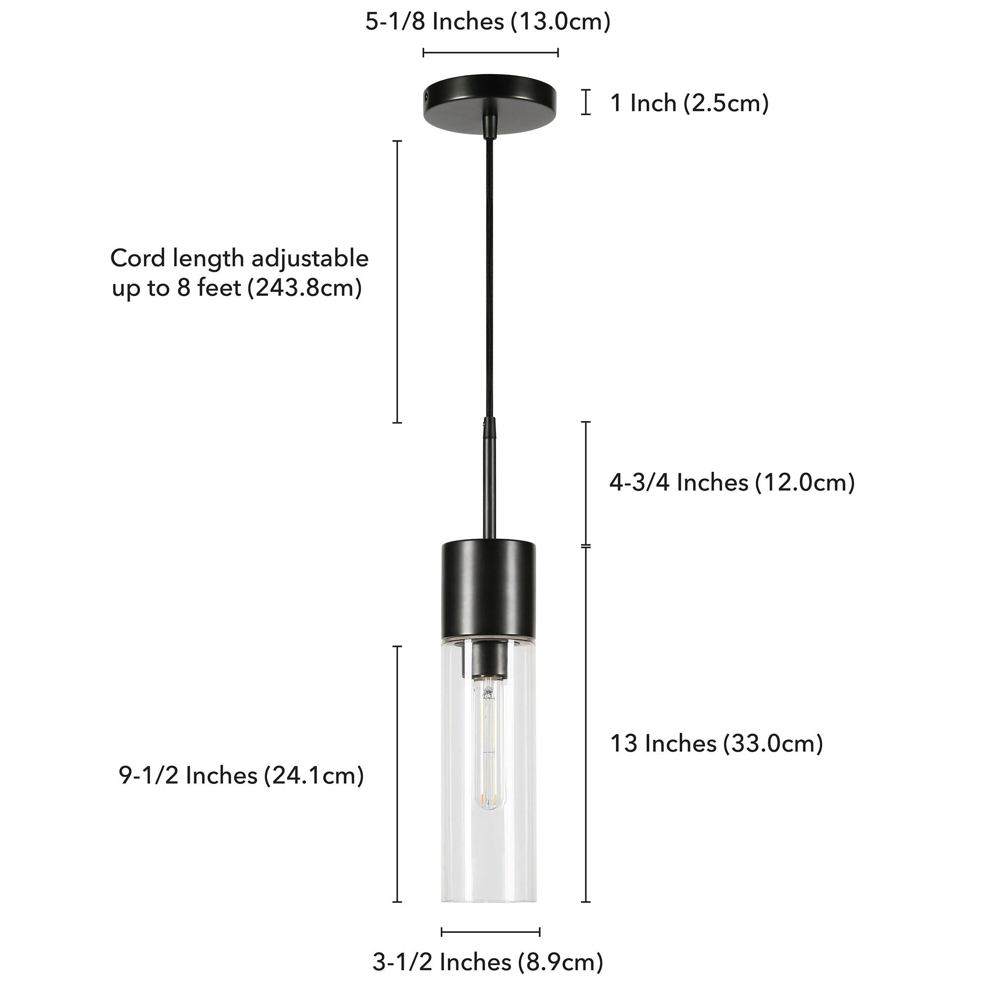 Evelyn&Zoe Industrial Clear Glass Pendant