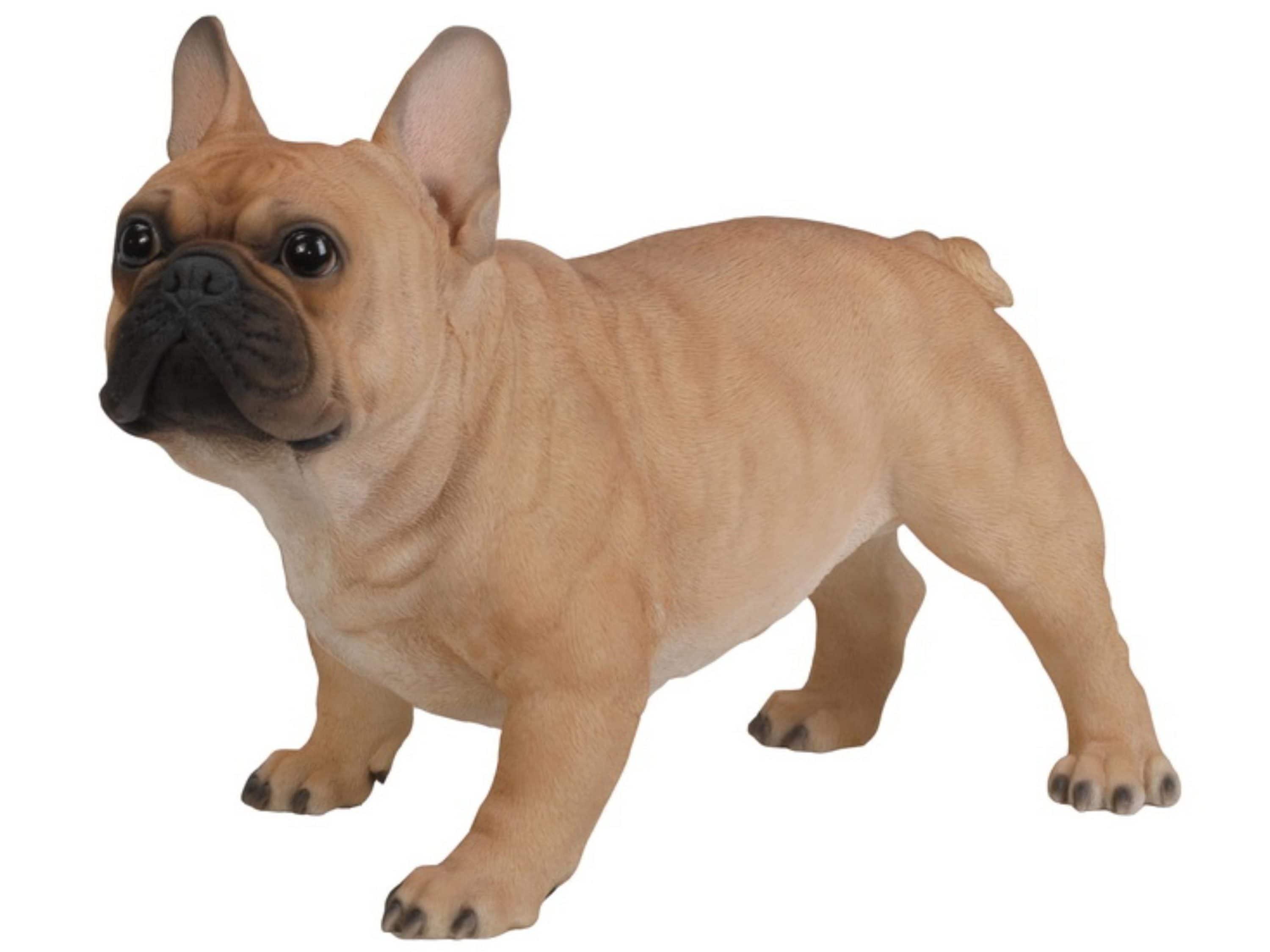 Hi-Line Gift Ltd. Dog French Bulldog Statue