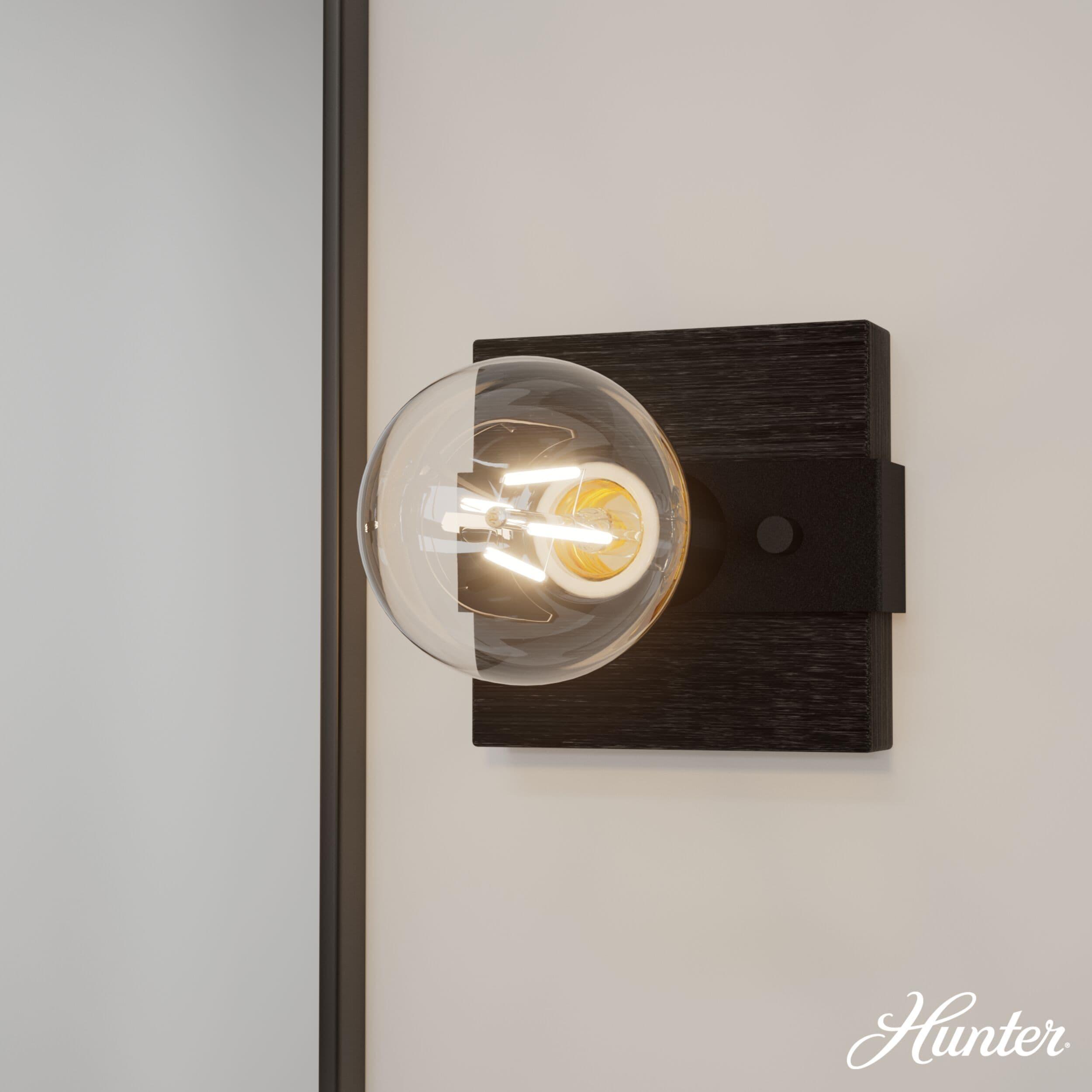 Hunter Fan Donelson Natural Black Iron and Dark Ash Sconce Wall Light Fixture: ETL Listed, Dimmable, Metal Body
