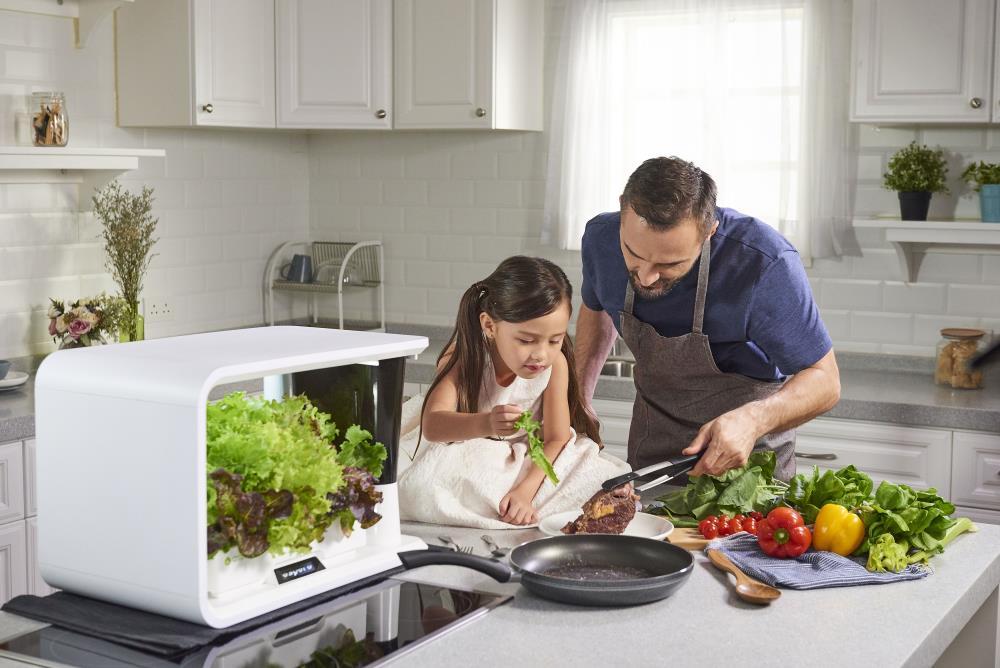 Aspara Aspara Hydroponic Unit