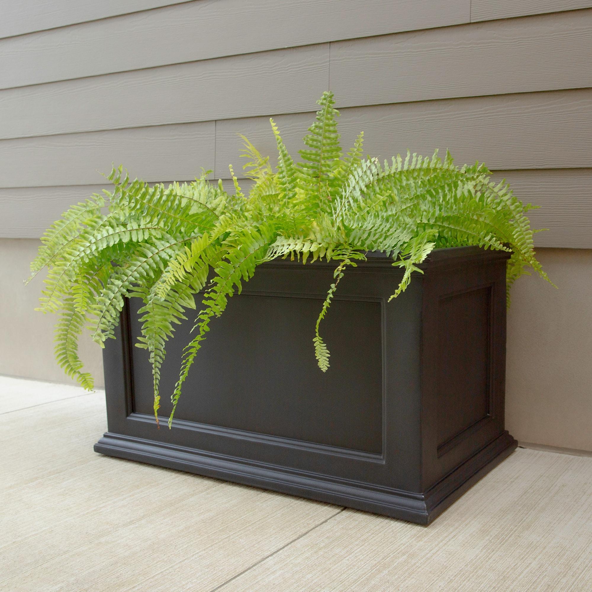 Winston Porter Anastasiya 20"x36" Resin Planter with Water Reservoir