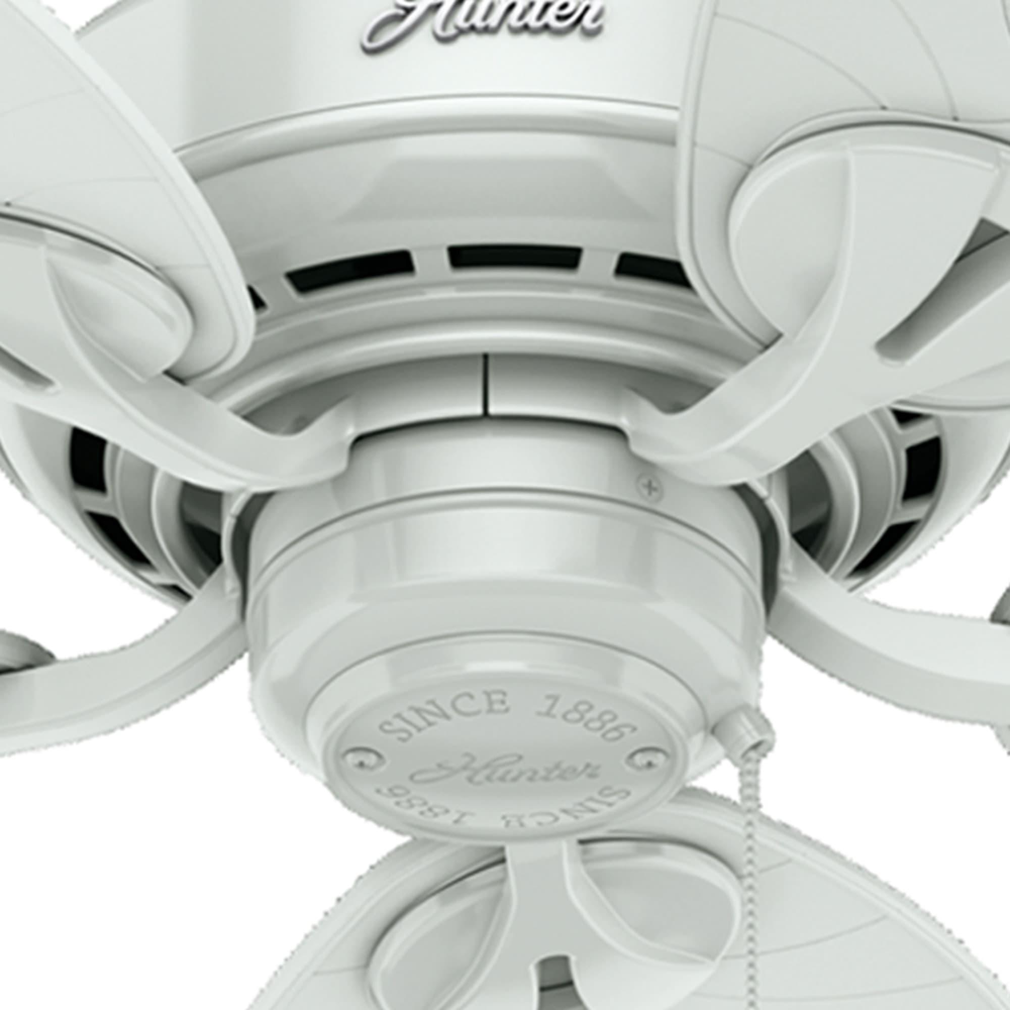 54" Bayview 5 - Blade Outdoor Tropical Leaf Ceiling Fan with Pull Chain