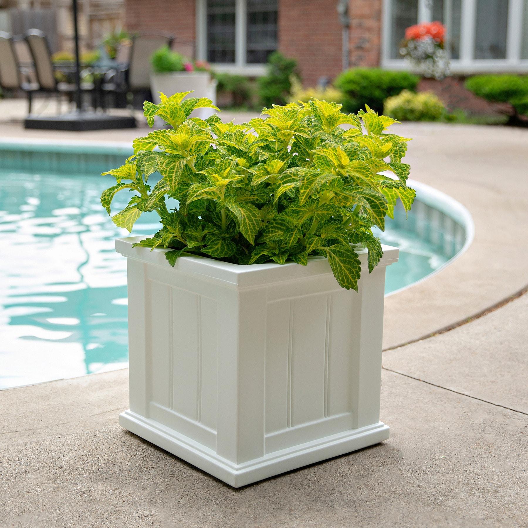 Mayne Cape Cod 14" x 14" x 14" Square White Self-Watering Polyethylene Planter