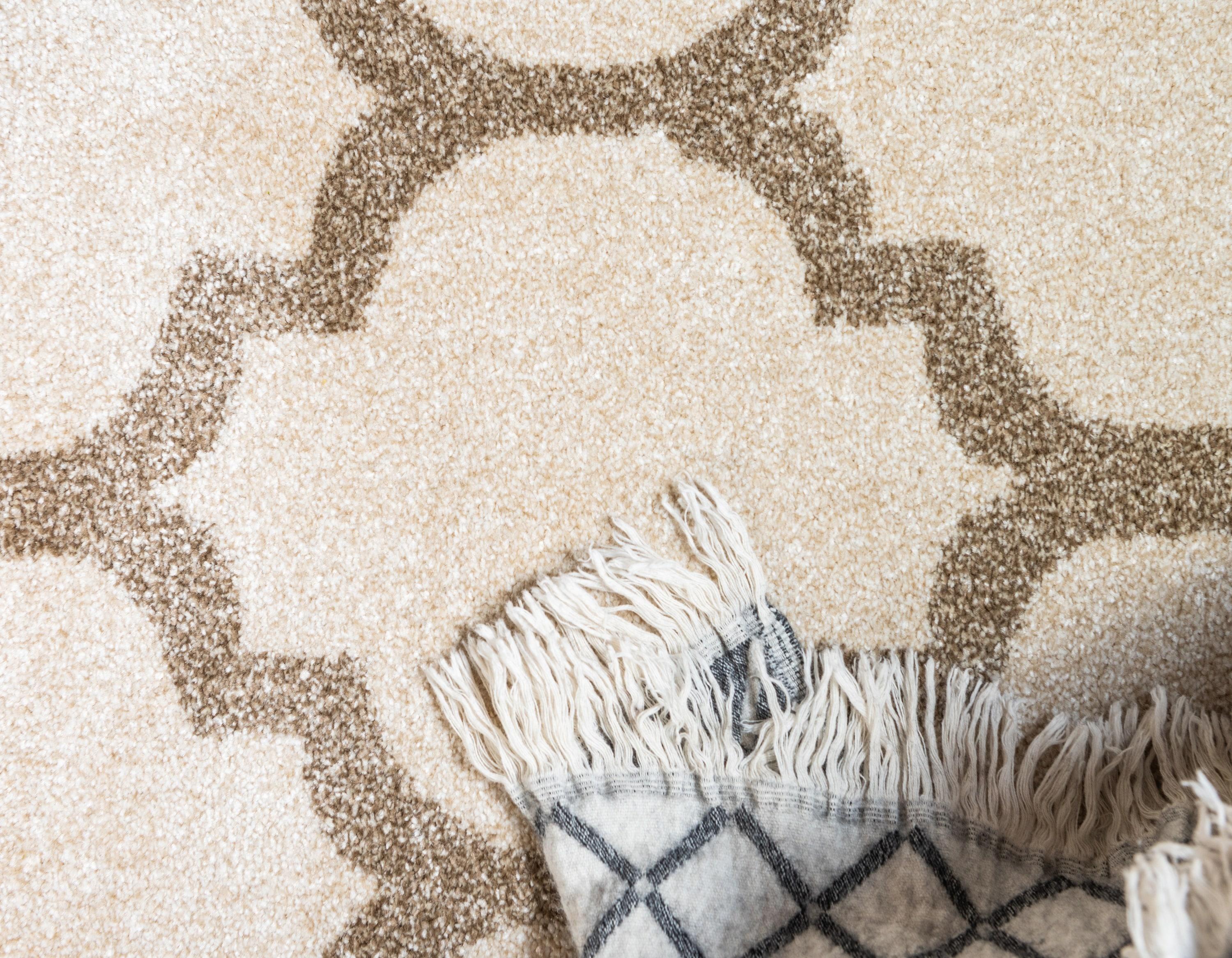 Unique Loom 4' 1 x 6' 1 Trellis Philadelphia Beige and Light Brown Area Rug