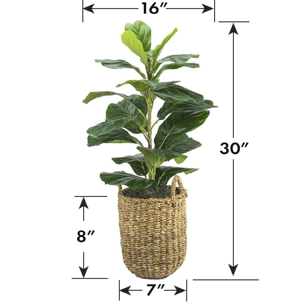 LCG Florals 30" x 16" Artificial Fig Plant in Basket with Handles: Indoor Faux Floor Plant, Polyester, Wicker Basket