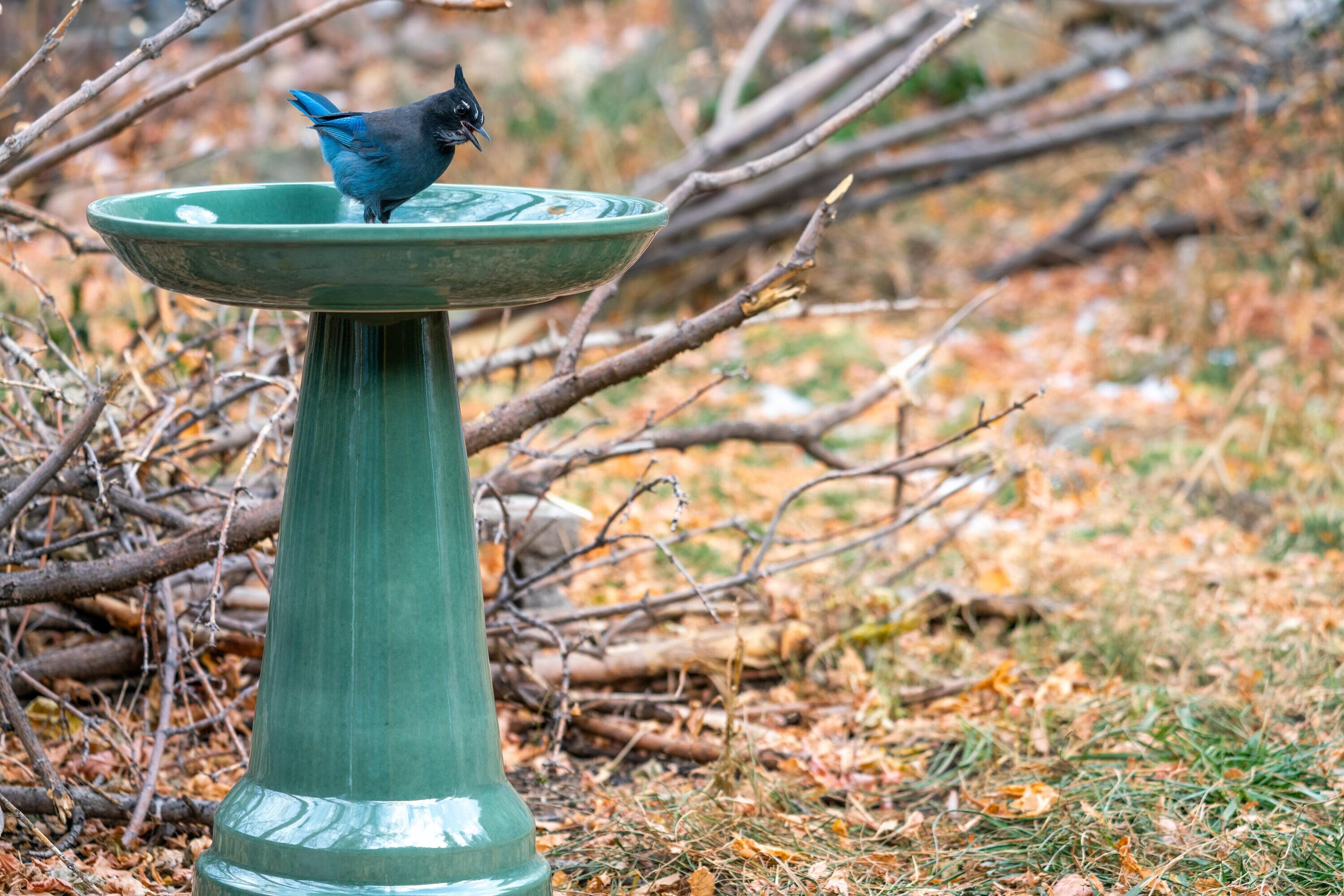 Ohio Stoneware Bird Bath