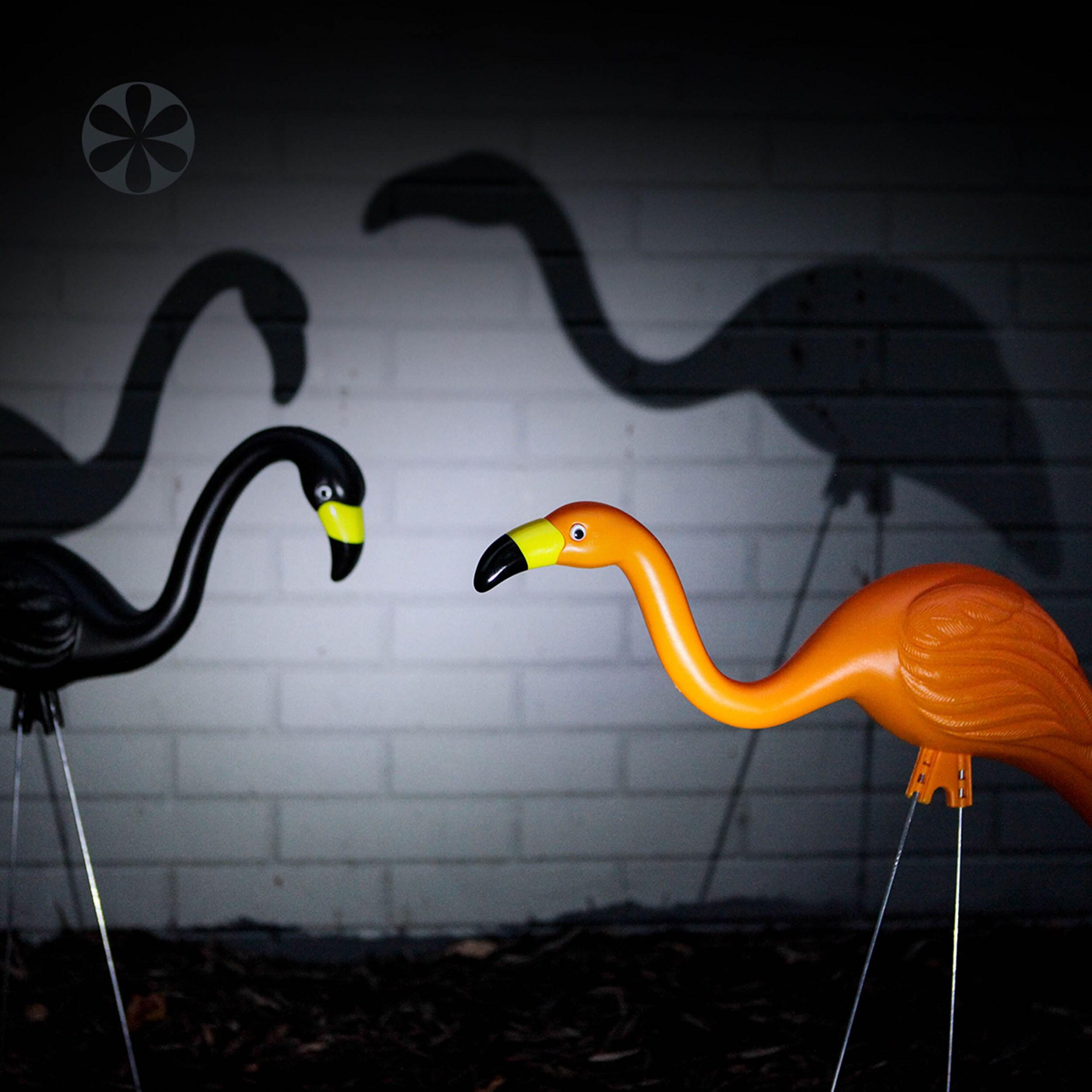 Bloem Spooky Indoor/Outdoor Black and Orange Halloween Flamingo Yard Decorations with Metal Stakes