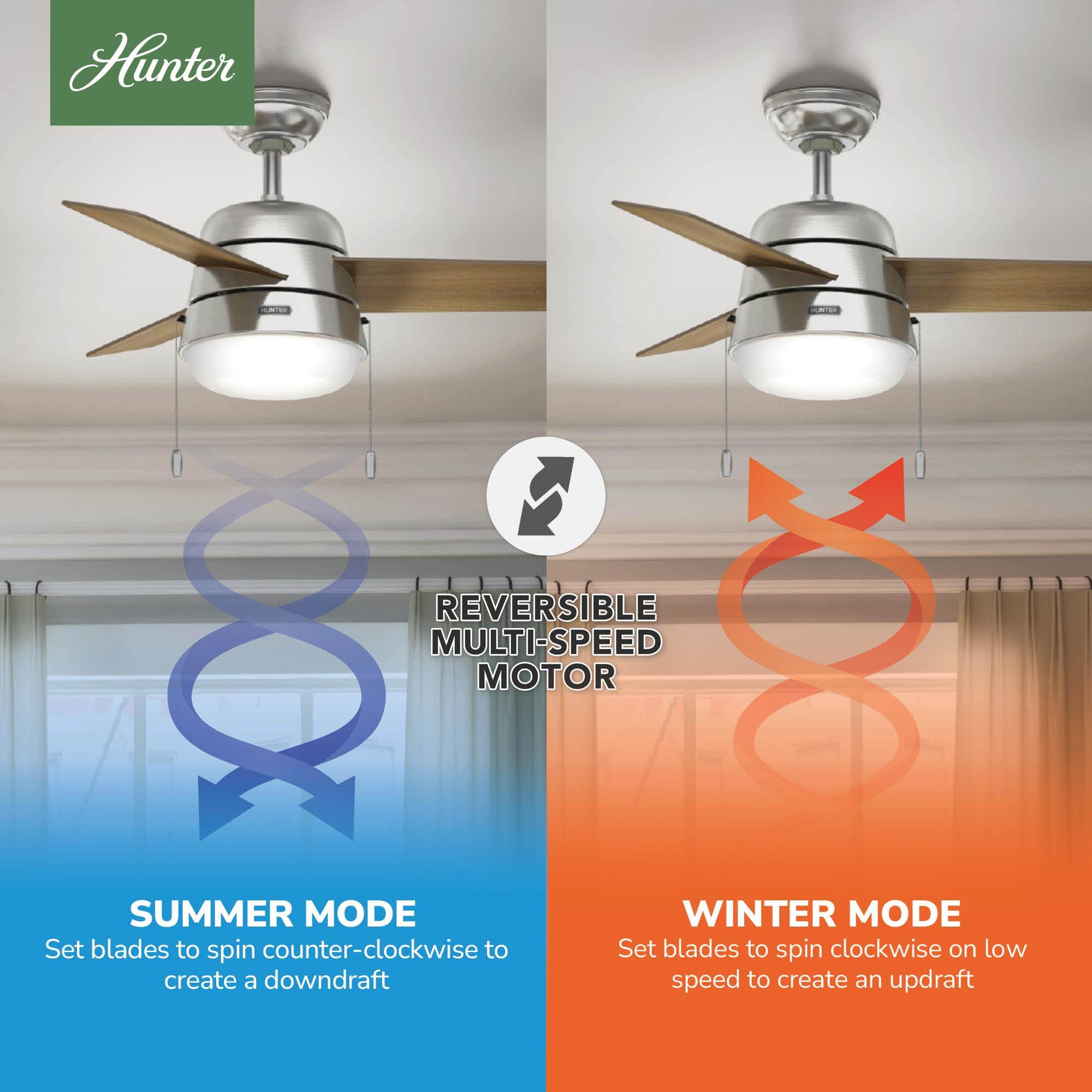 Aker 36" 3 - Blade Standard Ceiling Fan with Lights and Pull Chains