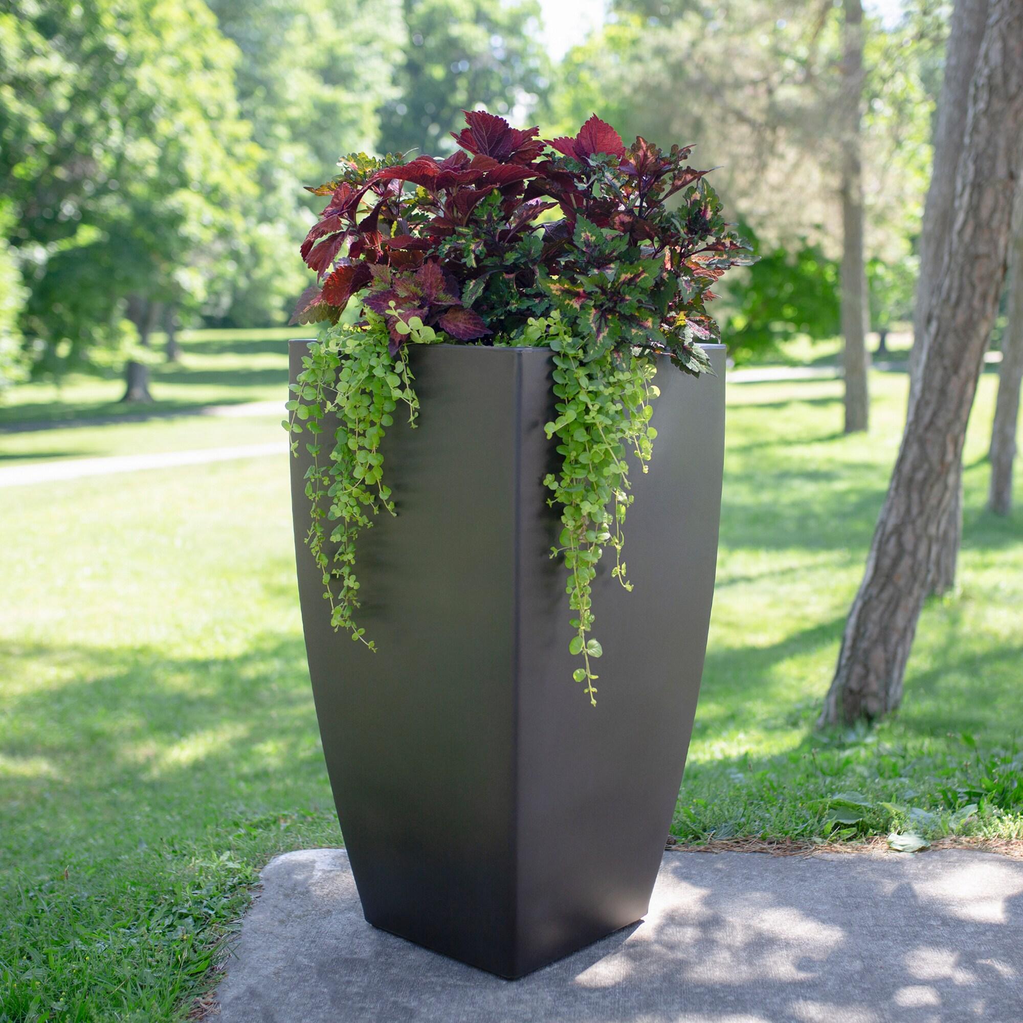 Mayne Inc. Vernamae  Resin Pot Planter With Water Reservoir