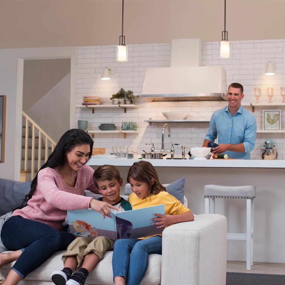 Lutron Skylark White 150 W 3-Way Dimmer Switch 1 pk