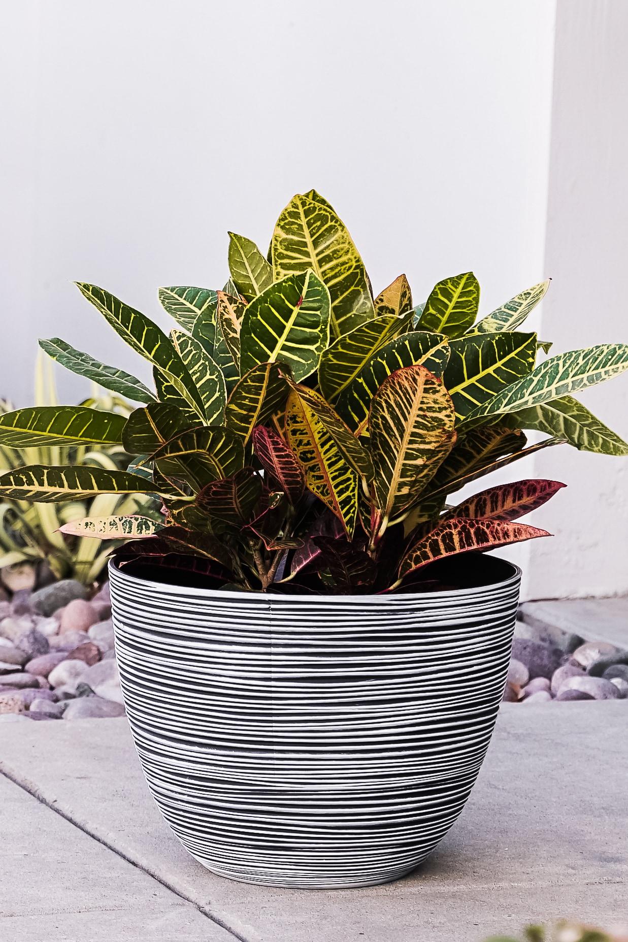 Xbrand Modern Nested Round Textured Pot Planter, Set of 3, 12 Inch Tall, White
