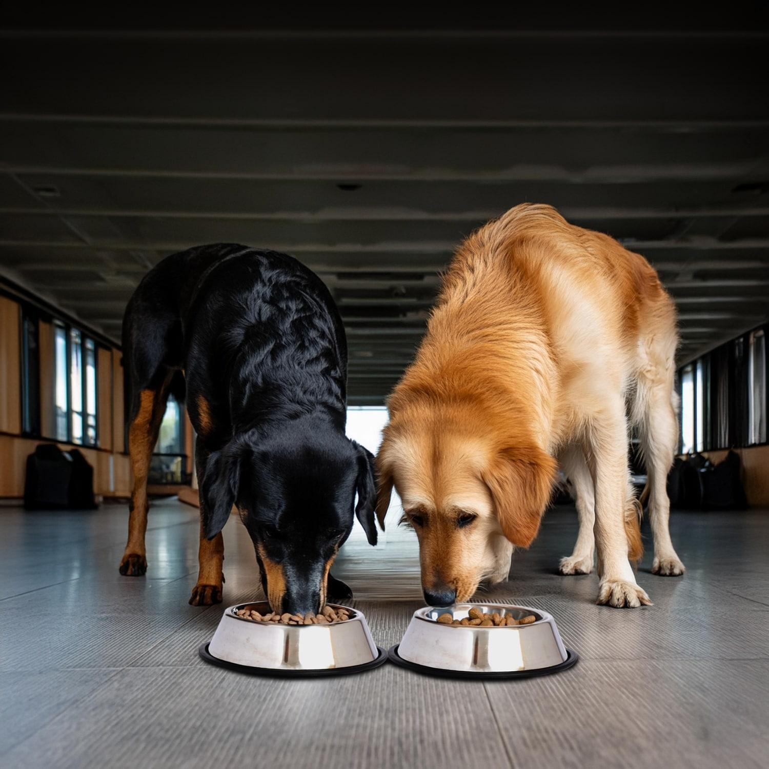 2 Cups Anti-Skid Pet Bowl (Set of 2)